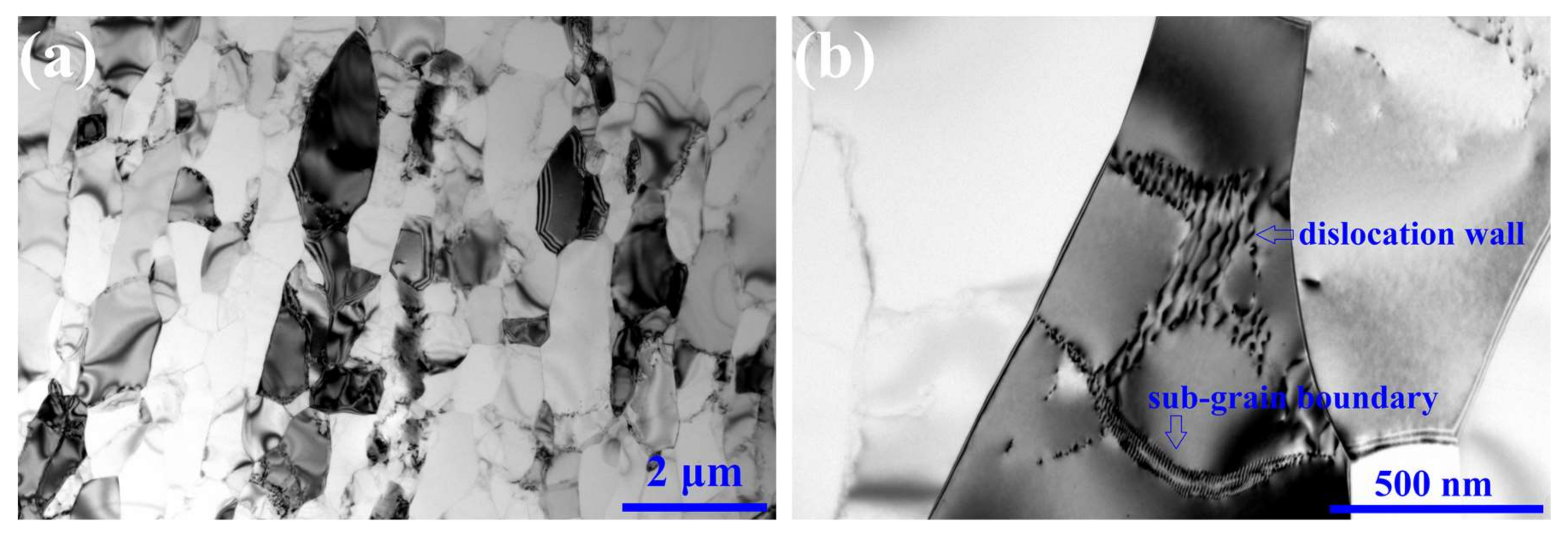 Coatings 10 00216 g010 Coatings 10 00216 g010