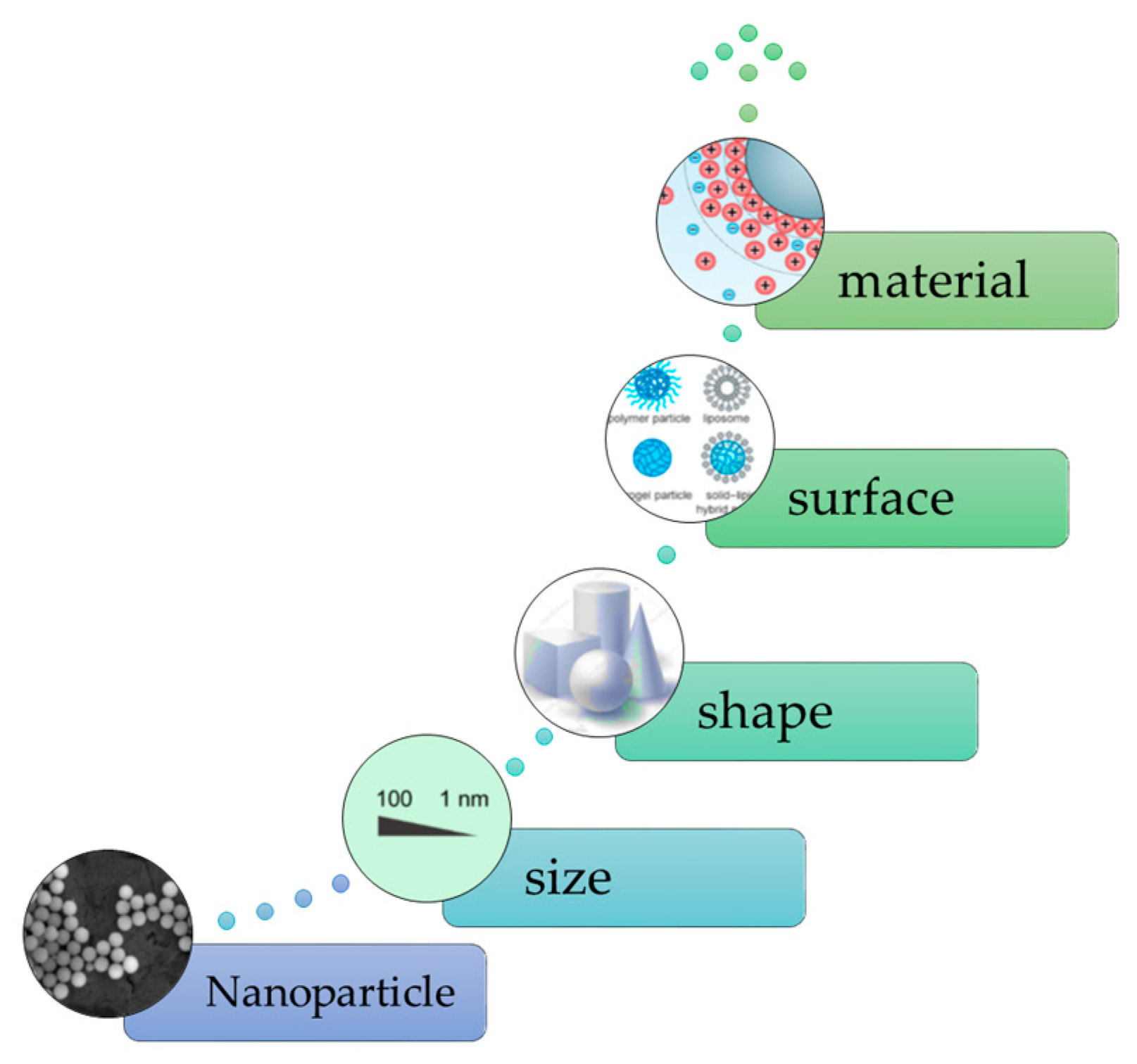 Coatings 10 00217 g009 Coatings 10 00217 g009