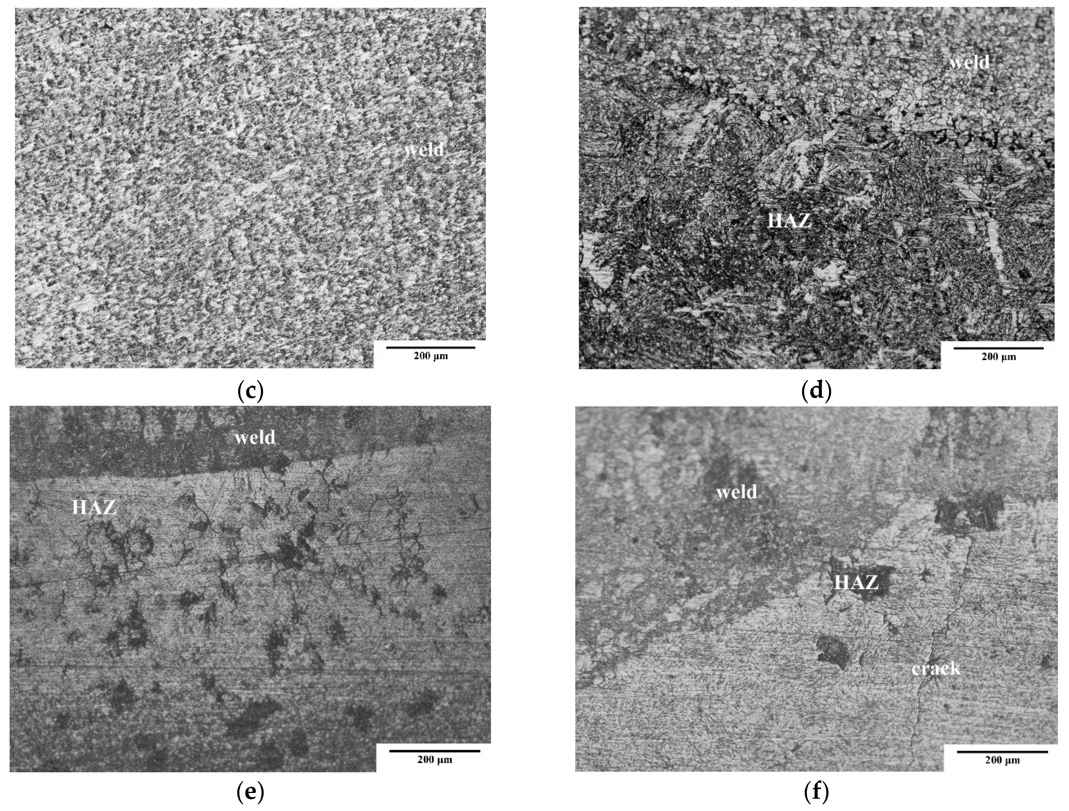 Coatings 10 00219 g009b Coatings 10 00219 g009b