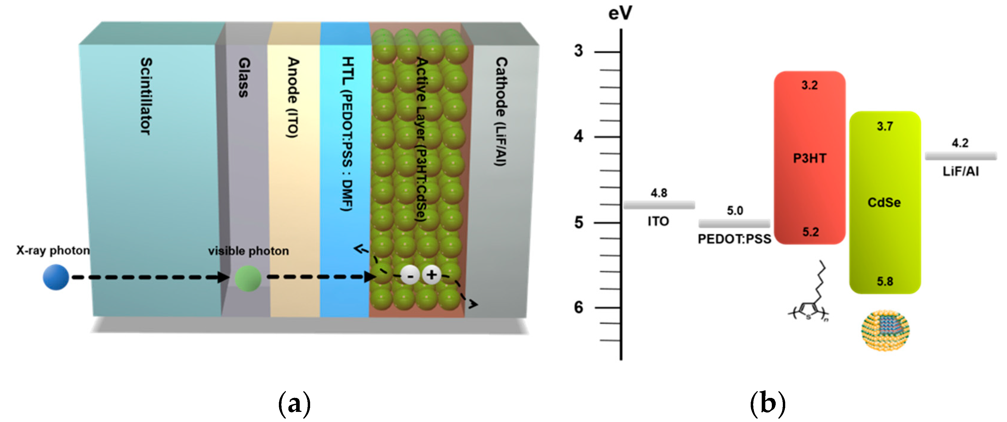 Coatings 10 00222 g001