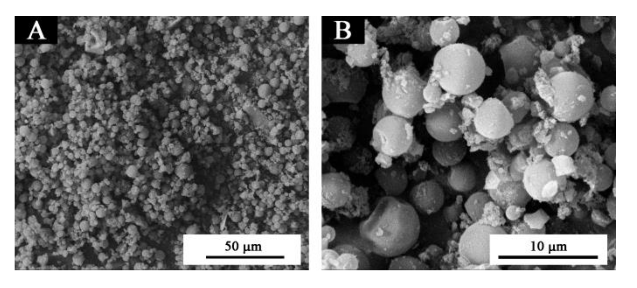 Coatings 10 00223 g002 Coatings 10 00223 g002