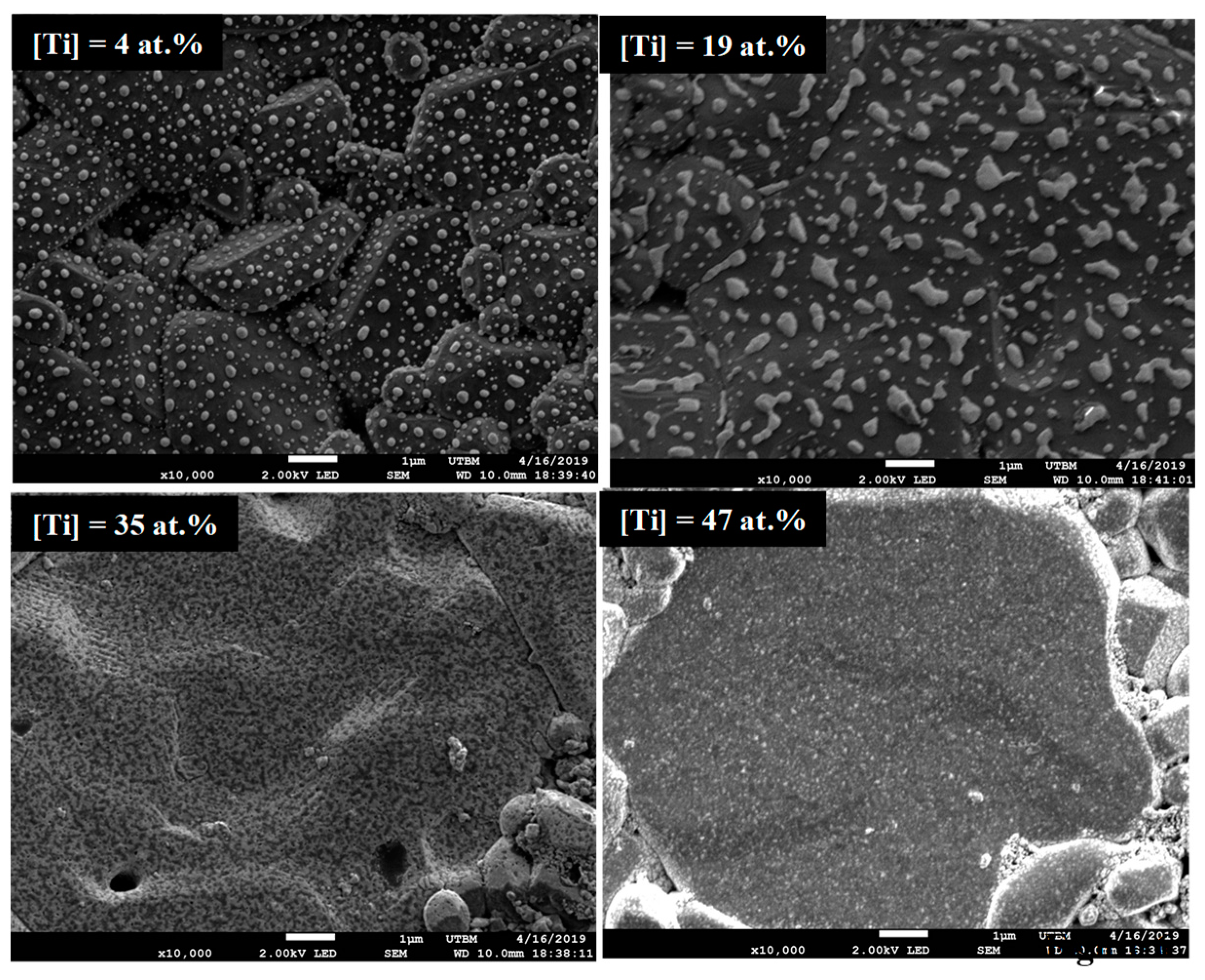 Coatings 10 00224 g006
