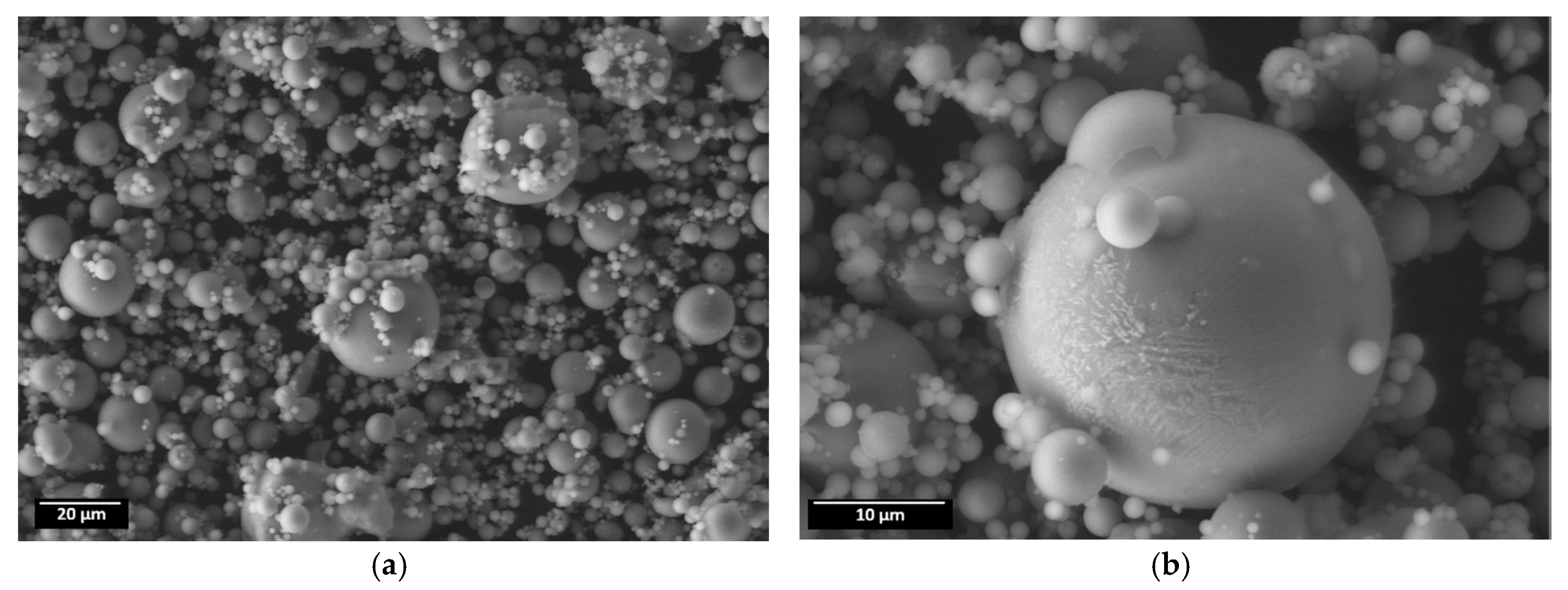 Coatings 10 00225 g001 Coatings 10 00225 g001