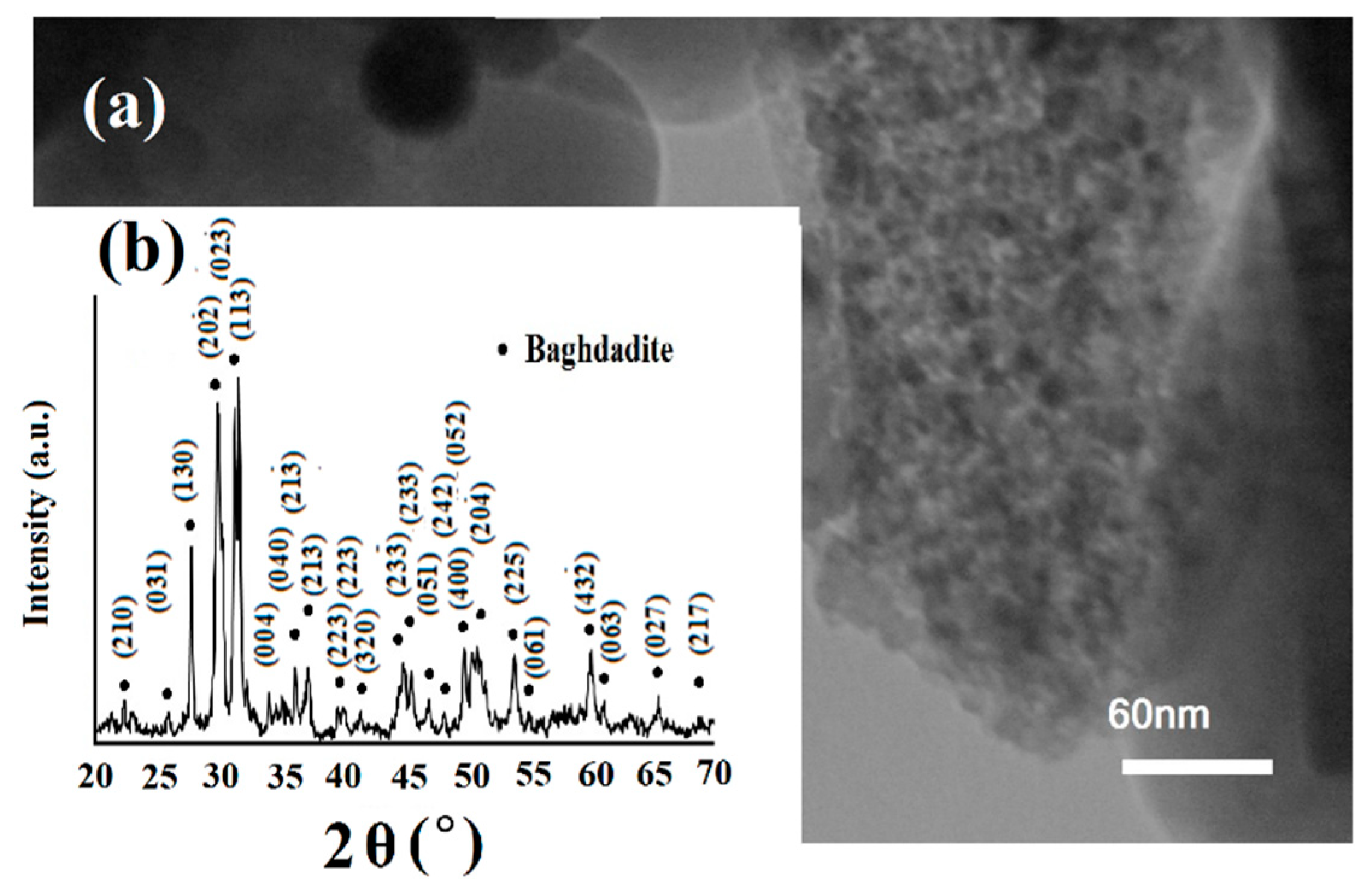 Coatings 10 00231 g001 Coatings 10 00231 g001
