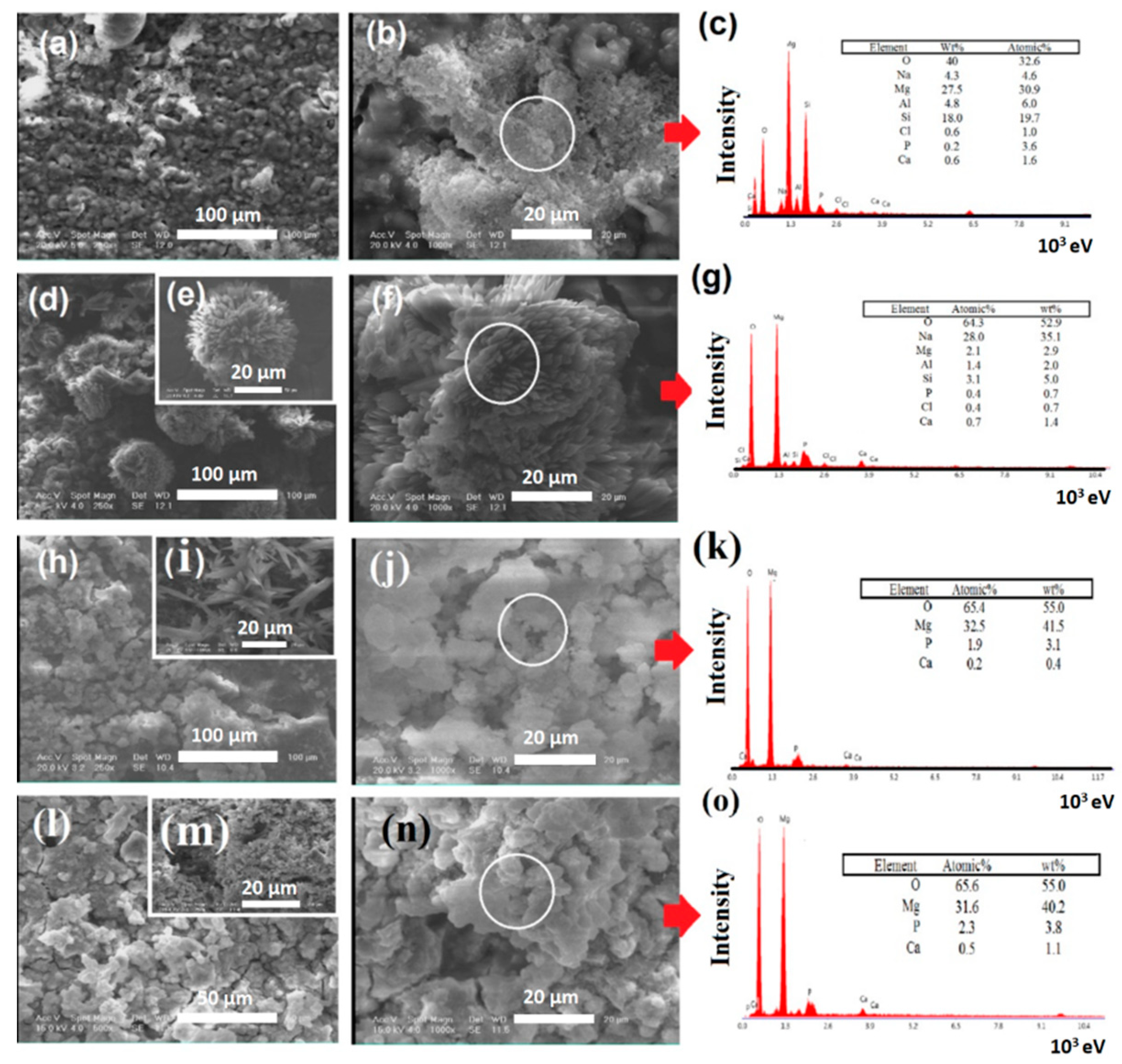 Coatings Free Full Text Bioactivity Behavior Evaluation Of Pcl Chitosan Nanobaghdadite Coating On Az91 Magnesium Alloy In Simulated Body Fluid Html