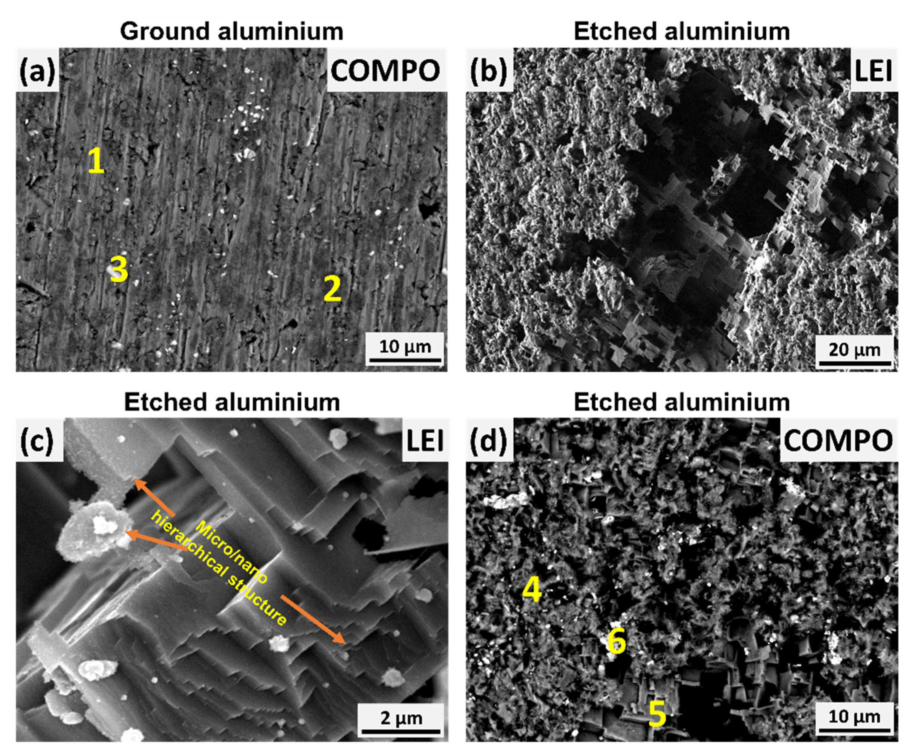 Coatings 10 00234 g004