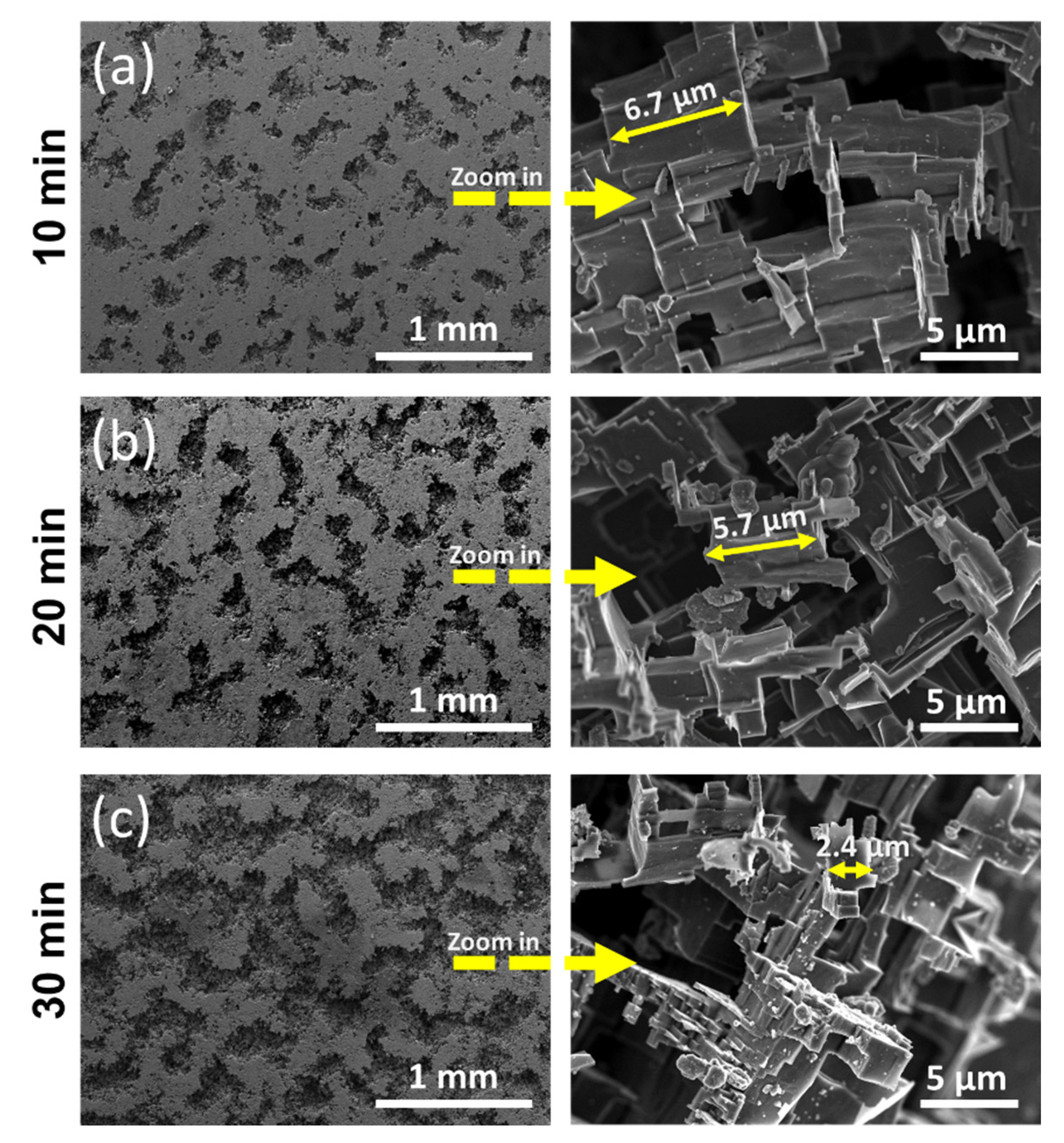 Coatings 10 00234 g005