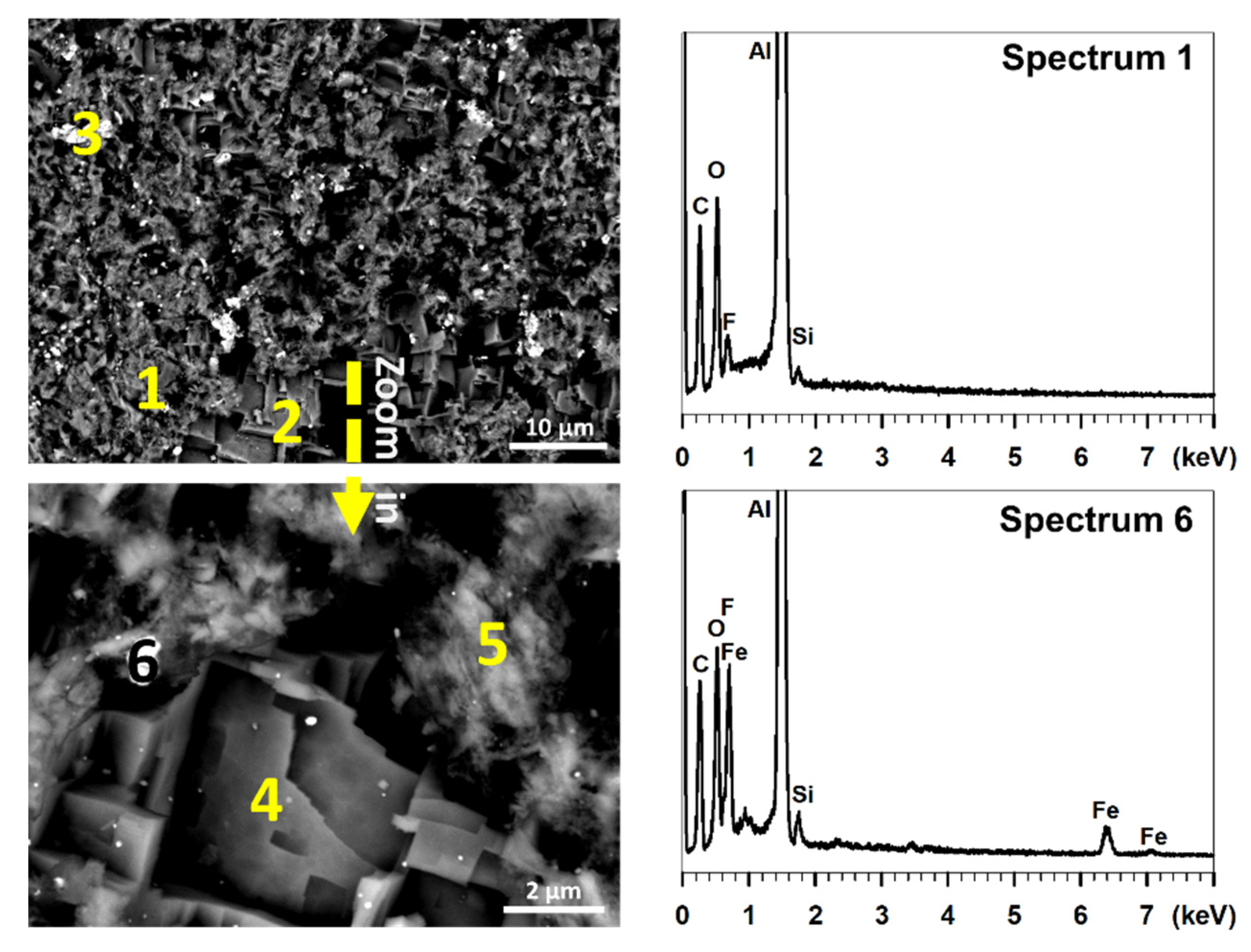 Coatings 10 00234 g007