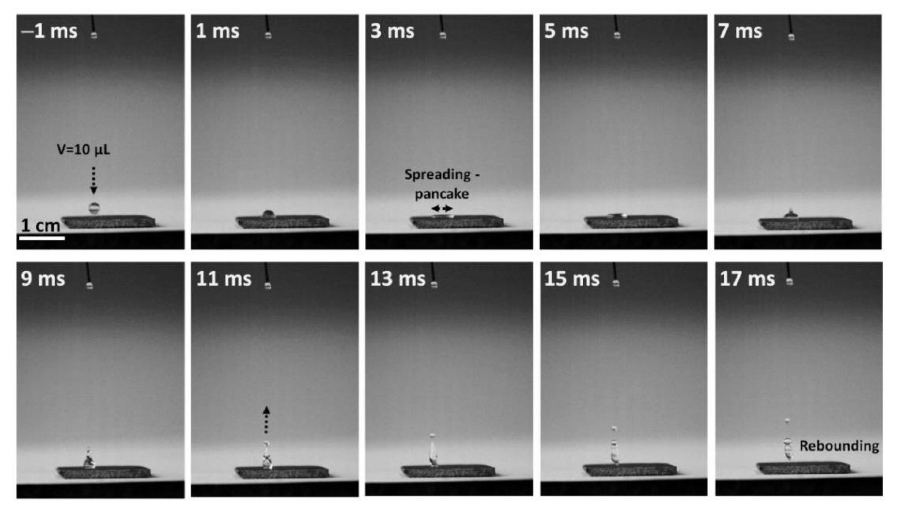 Coatings 10 00234 g009