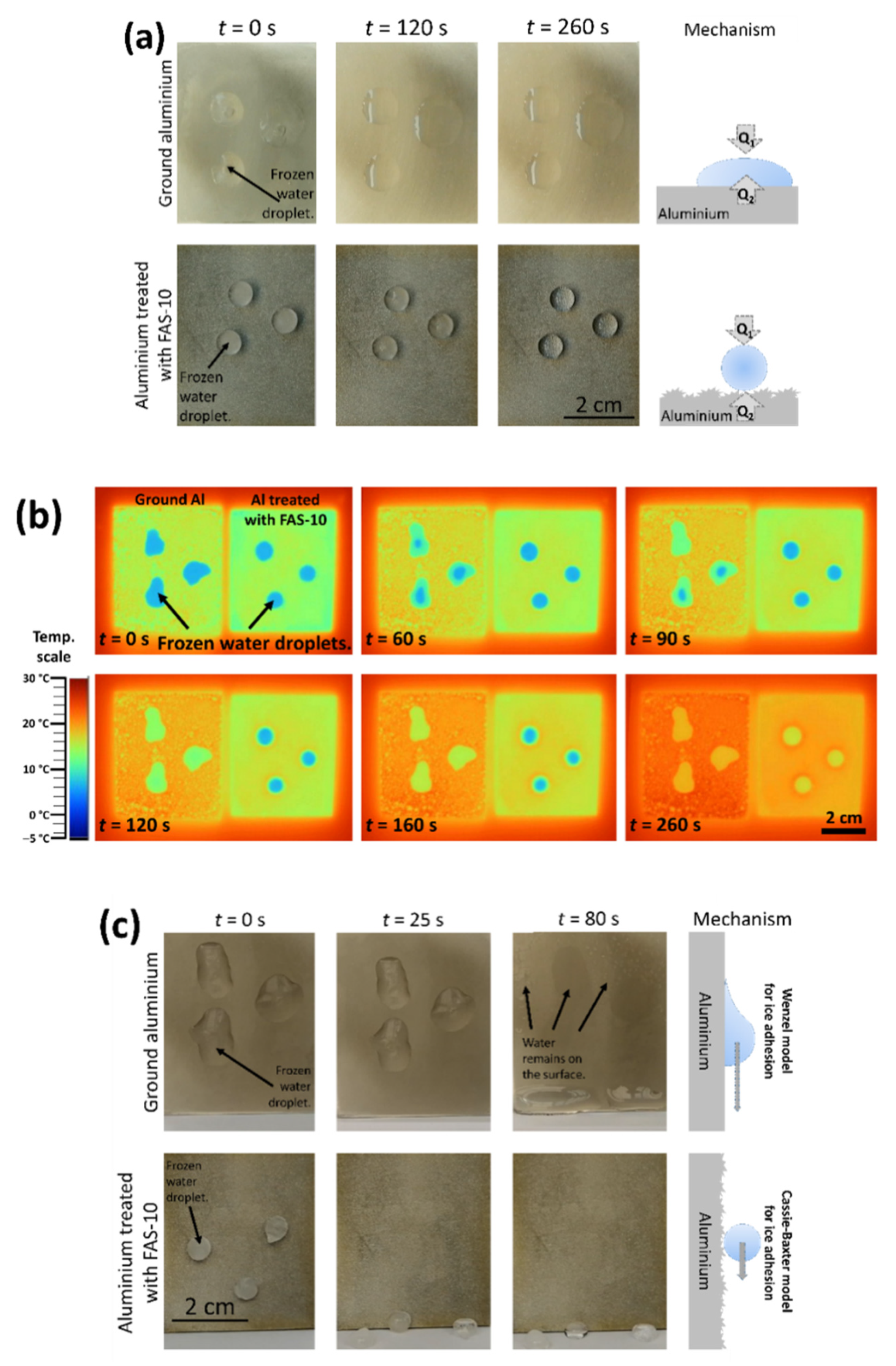 Coatings 10 00234 g011