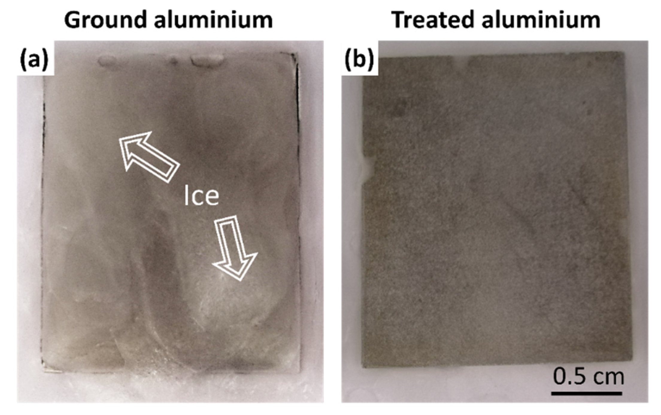 Coatings 10 00234 g012