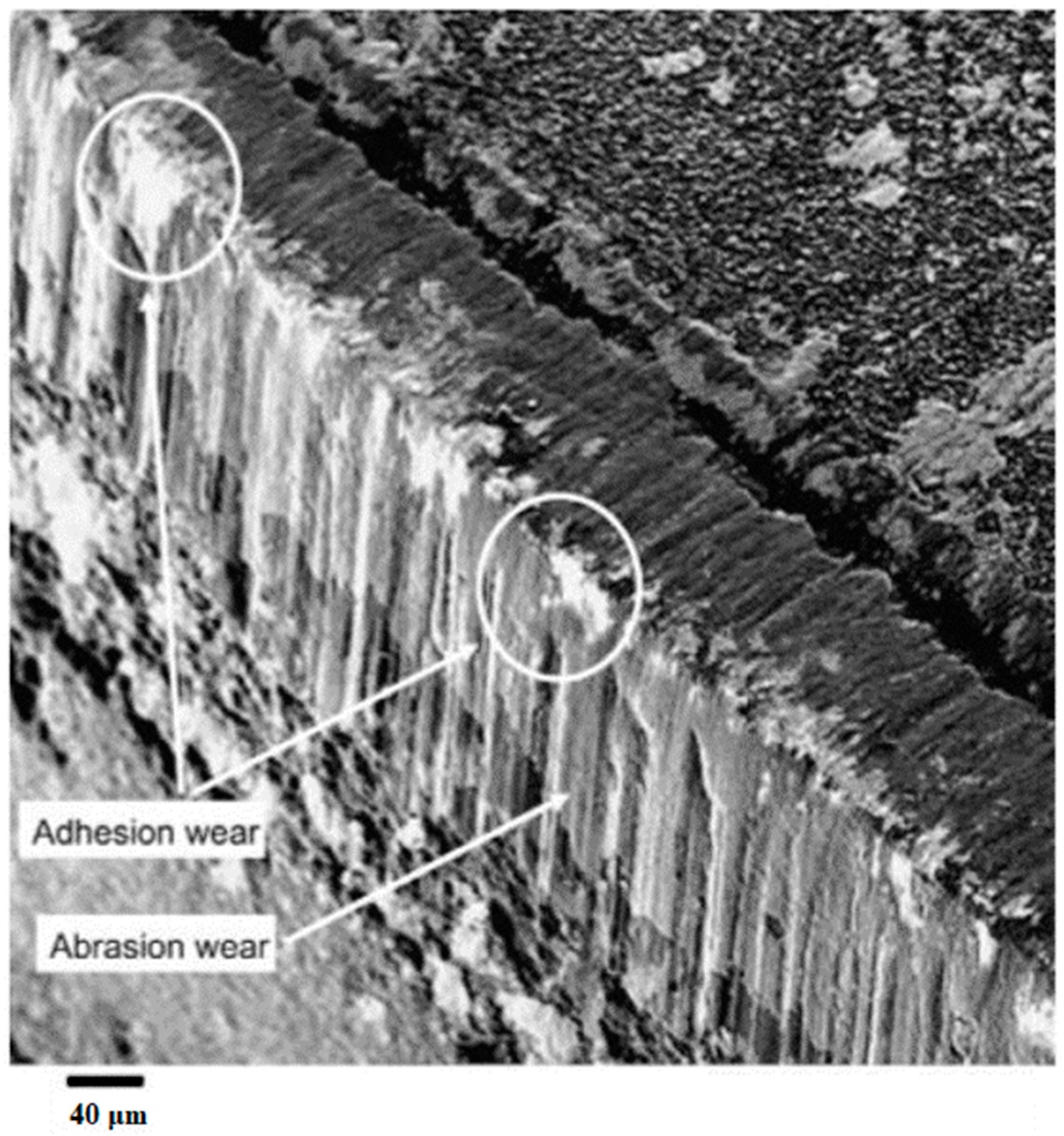 Coatings 10 00235 g002