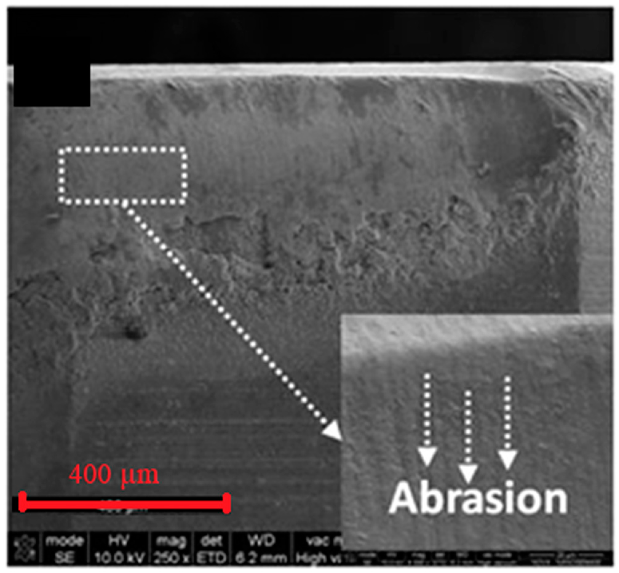 Coatings 10 00235 g004