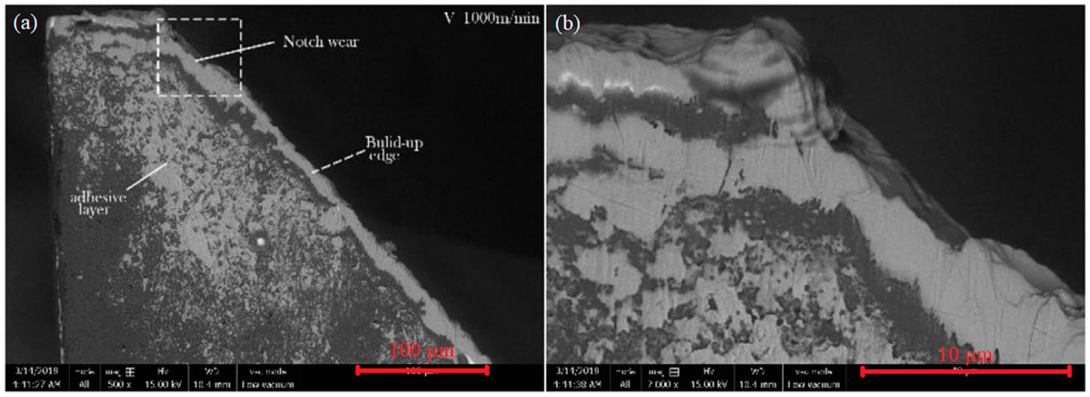 Coatings 10 00235 g008