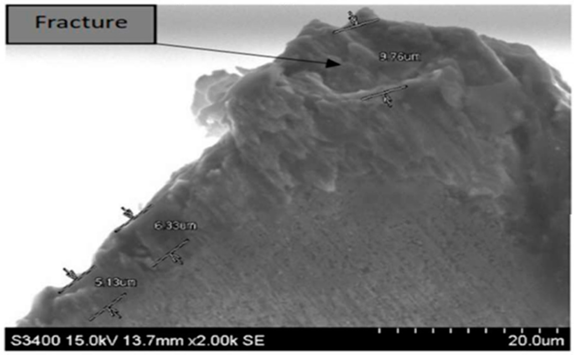Coatings 10 00235 g015