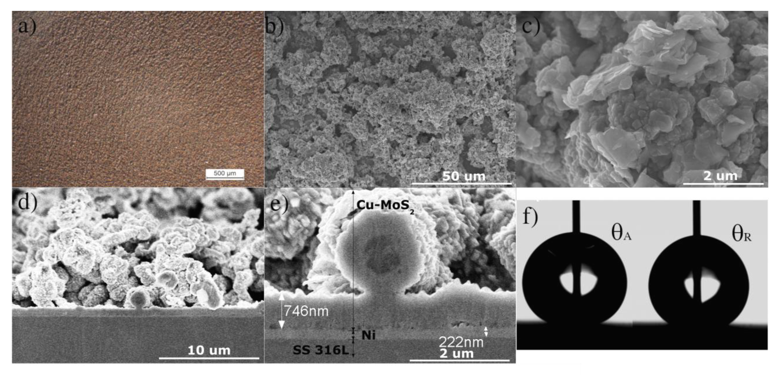 Coatings 10 00238 g002 Coatings 10 00238 g002