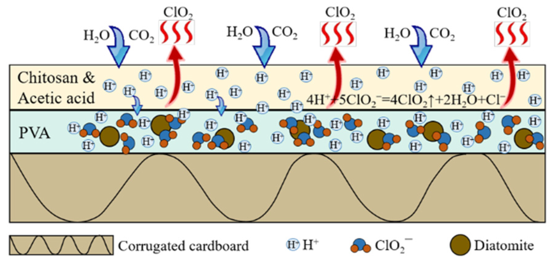 Coatings | Free Full-Text | Preparation of Coated Corrugated Box for  Controlled-Release of Chlorine Dioxide and Its Application in Strawberry  Preservation