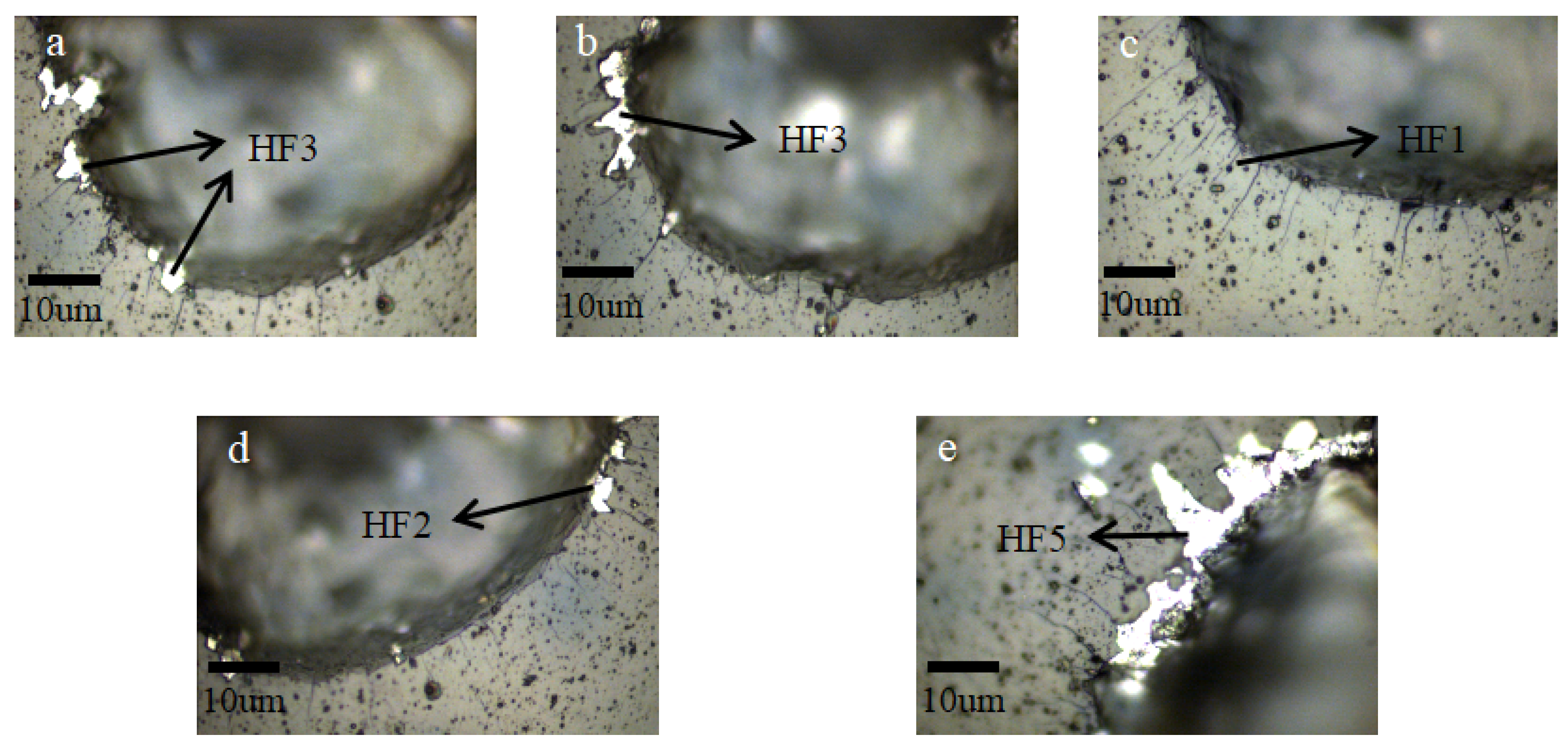 Coatings 10 00243 g006 Coatings 10 00243 g006
