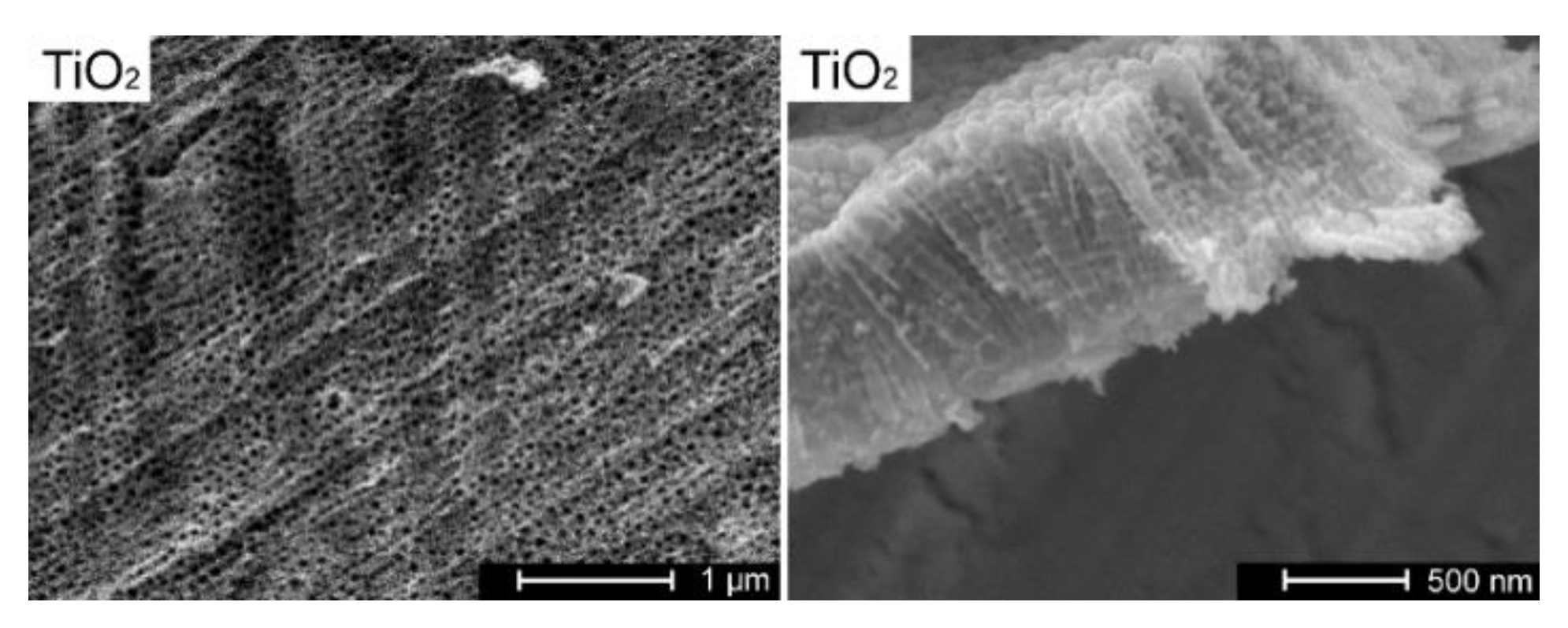 Coatings 10 00245 g001 Coatings 10 00245 g001