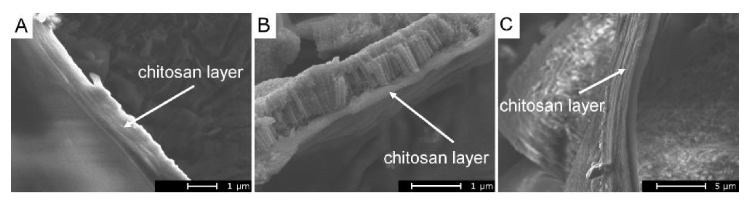 Coatings 10 00245 g004 Coatings 10 00245 g004