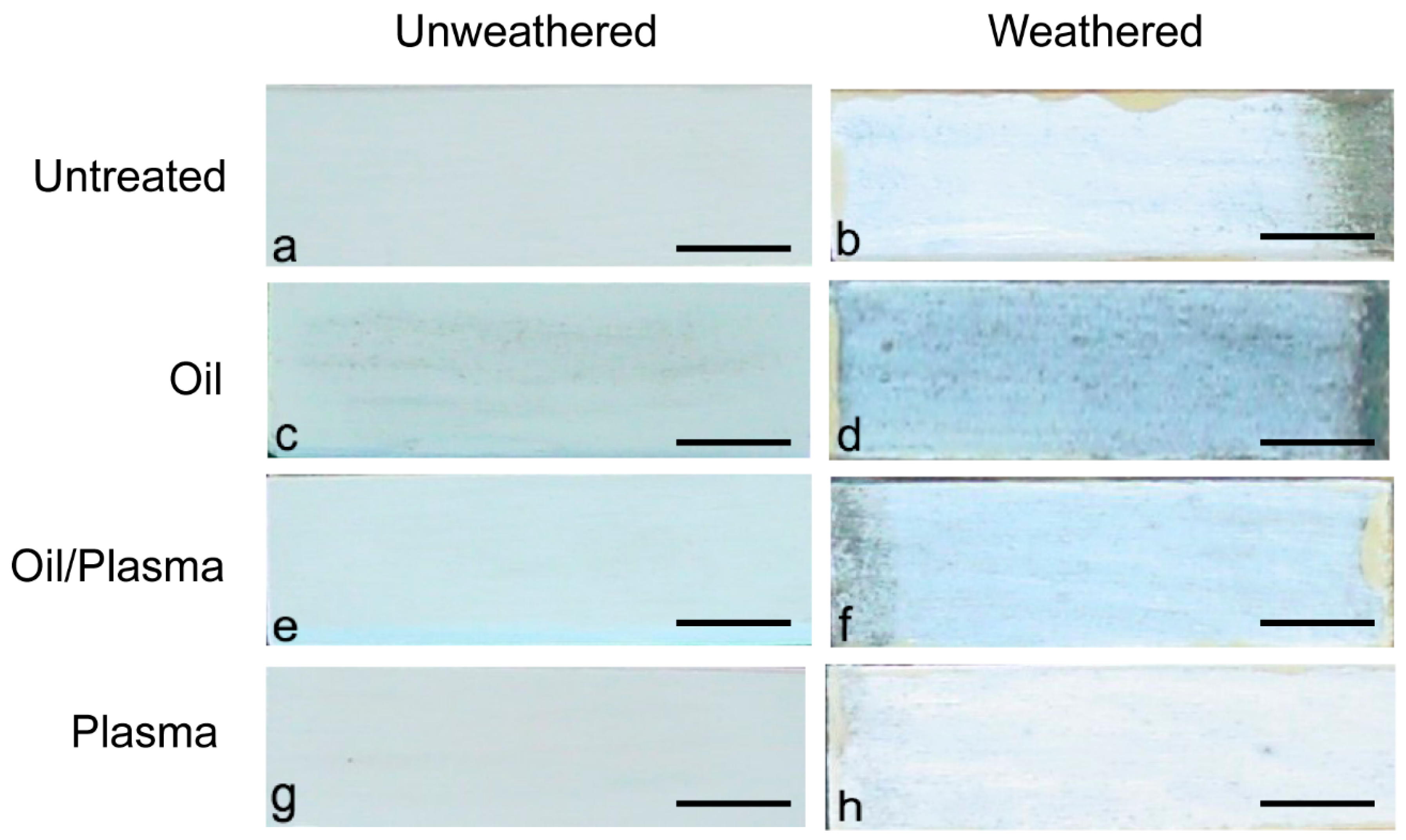 Coatings Free Full Text Plasma Treatment Reduced The Discoloration Of An Acrylic Coating On Hot Oil Modified Wood Exposed To Natural Weathering Html