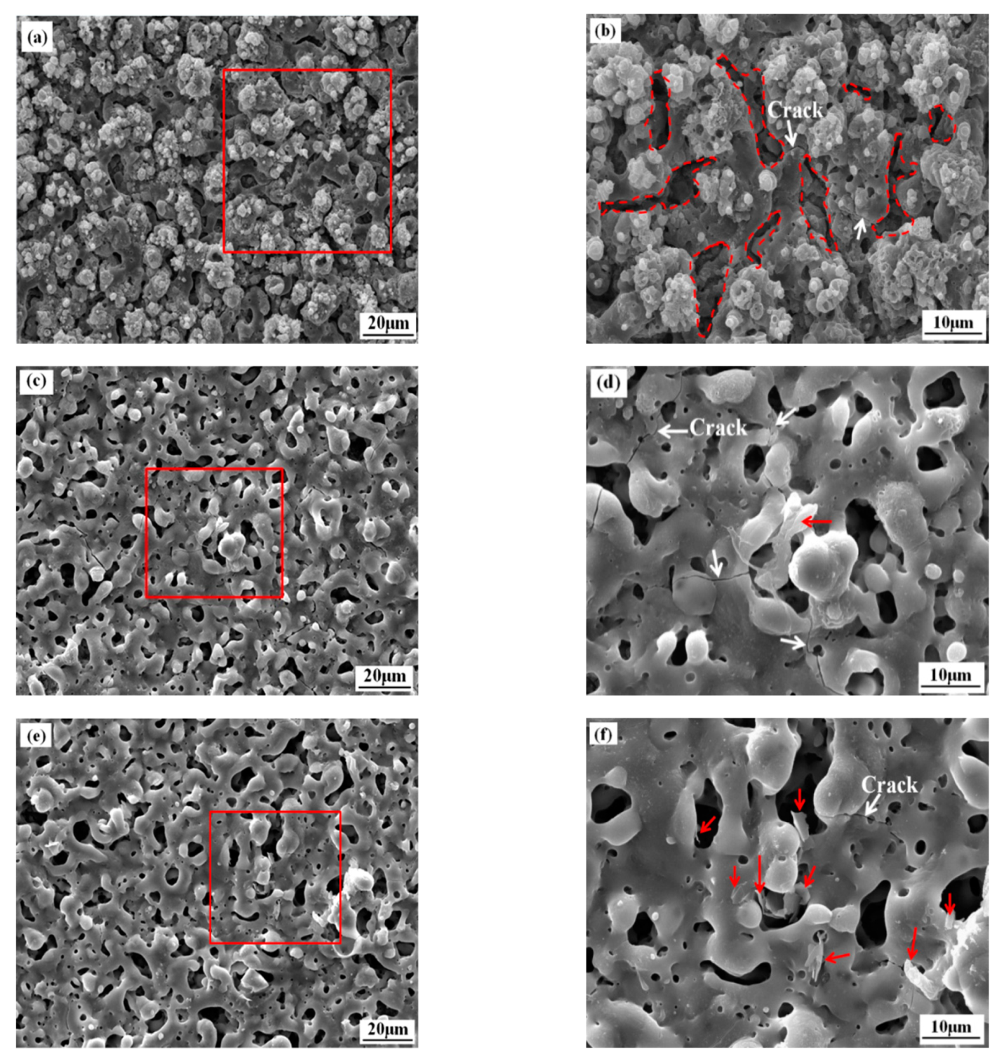 Coatings Free Full Text Corrosion And Wear Behavior Of Peo Coatings On D16t Aluminum Alloy With Different Concentrations Of Graphene Html