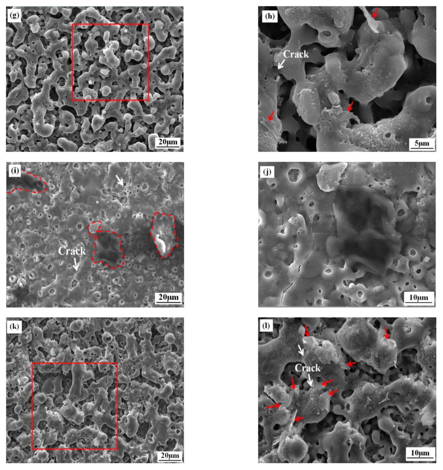 Coatings Free Full Text Corrosion And Wear Behavior Of Peo Coatings On D16t Aluminum Alloy With Different Concentrations Of Graphene Html