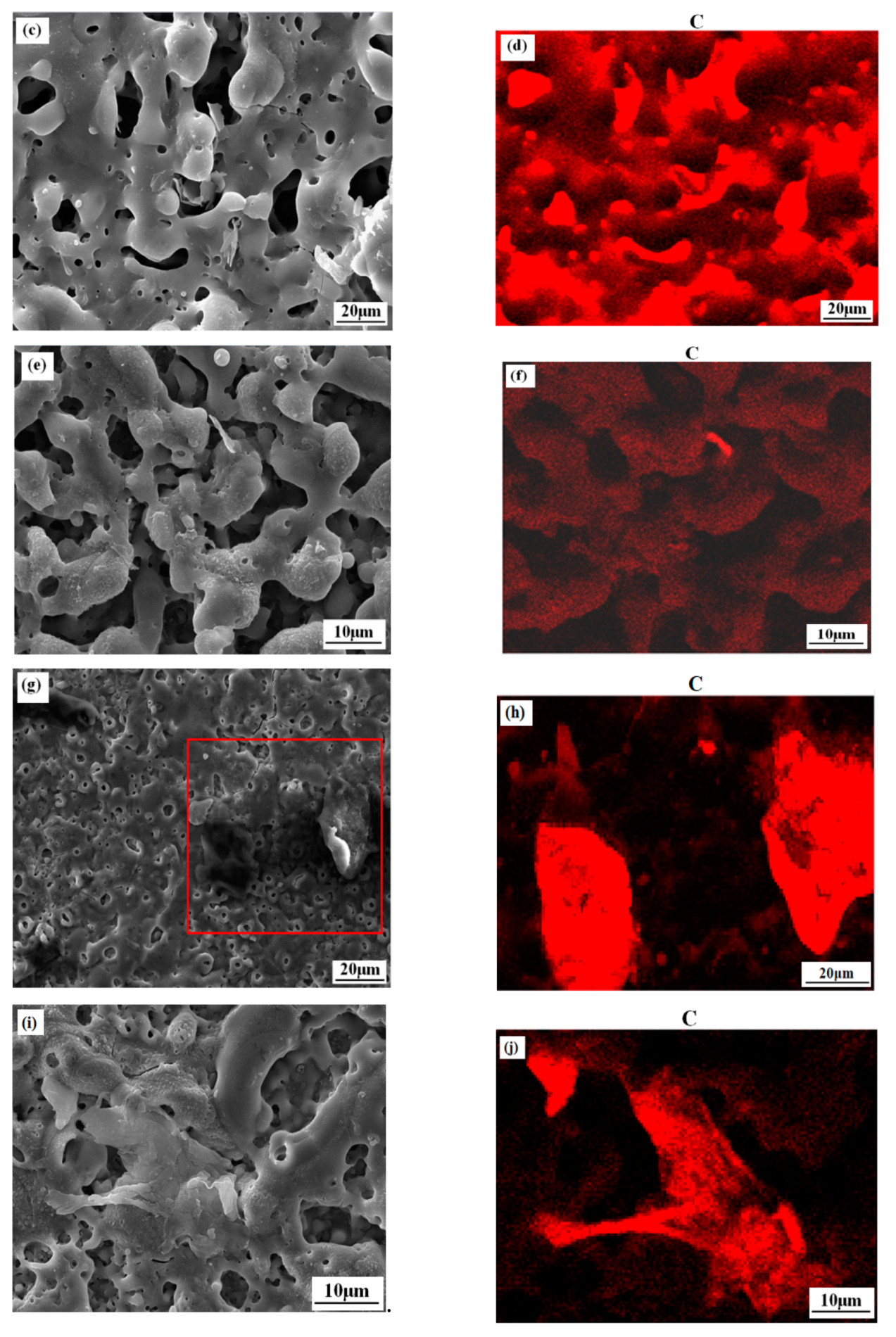 Coatings Free Full Text Corrosion And Wear Behavior Of Peo Coatings On D16t Aluminum Alloy With Different Concentrations Of Graphene Html