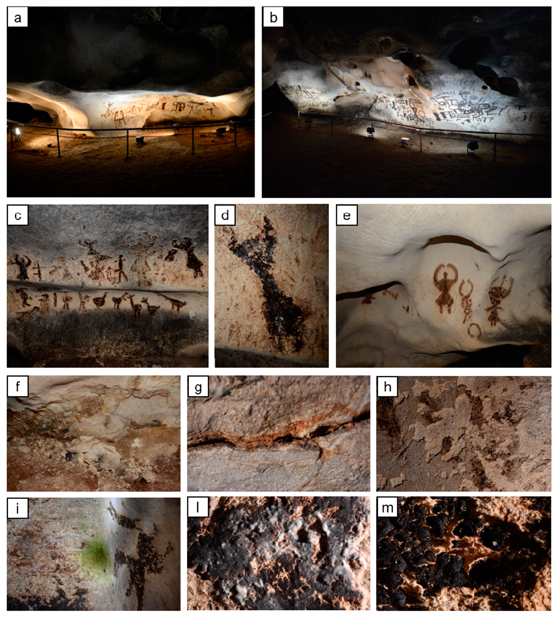 Coatings 10 00250 g001 Coatings 10 00250 g001