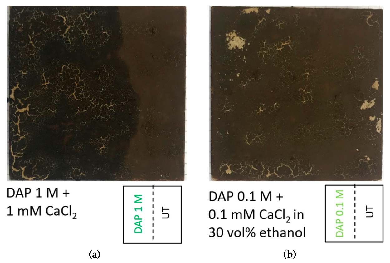 Coatings 10 00250 g003 Coatings 10 00250 g003