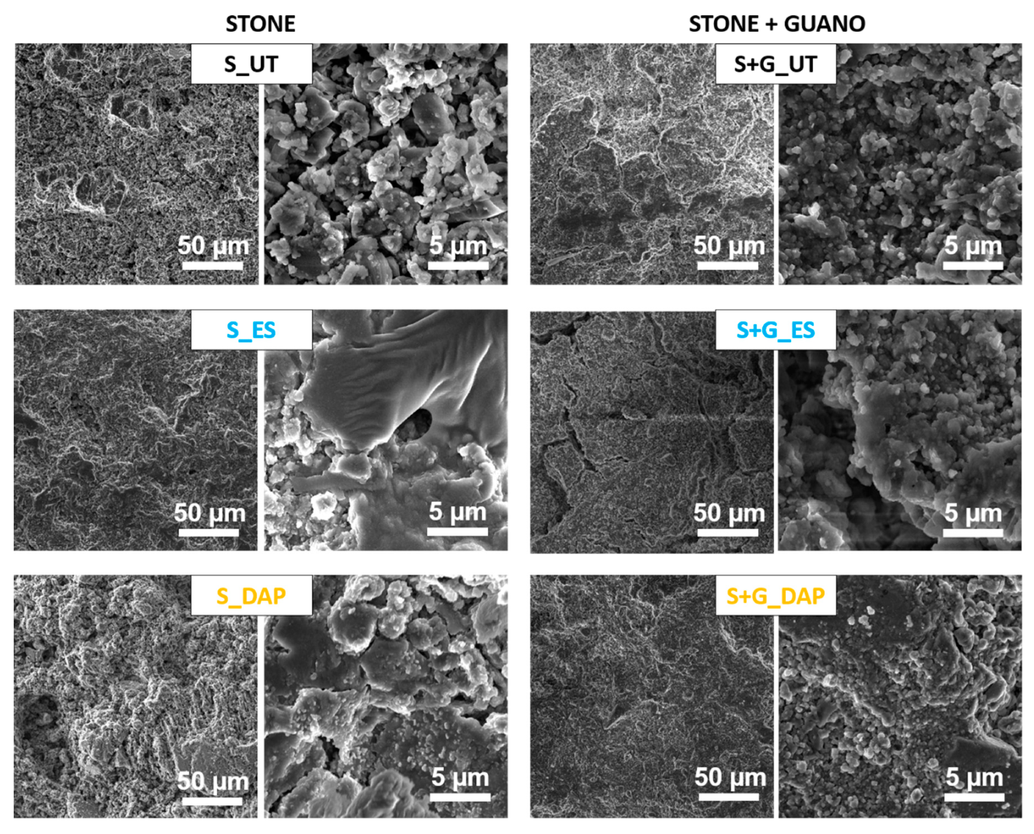 Coatings 10 00250 g004 Coatings 10 00250 g004