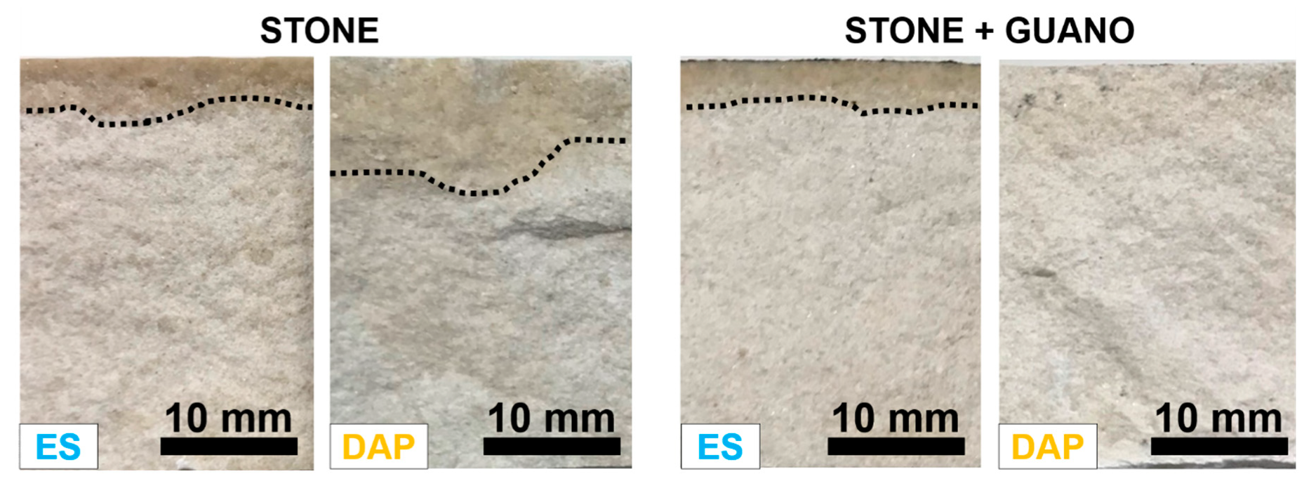 Coatings 10 00250 g006 Coatings 10 00250 g006