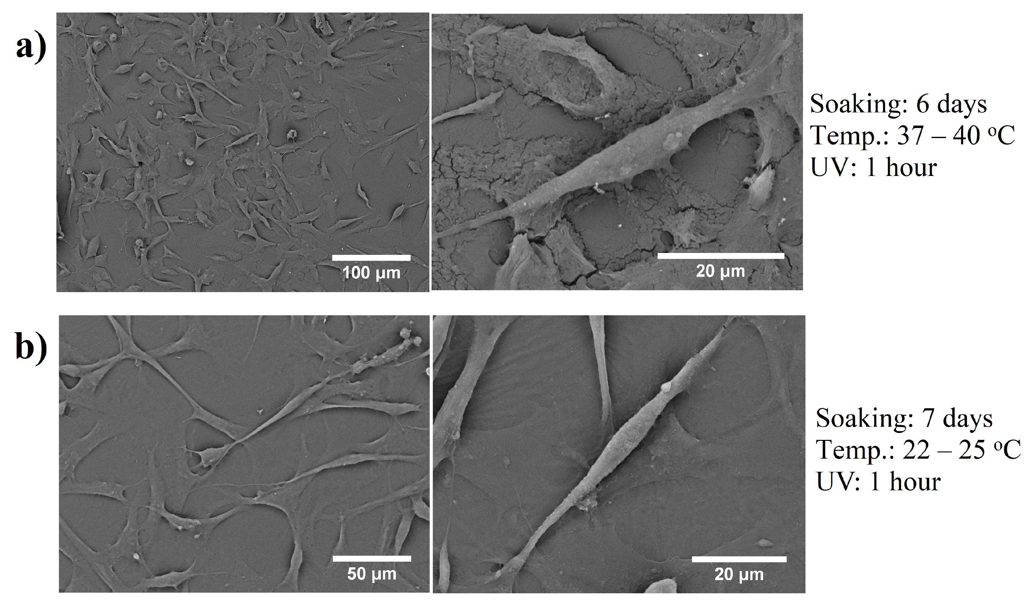 Coatings 10 00254 g003