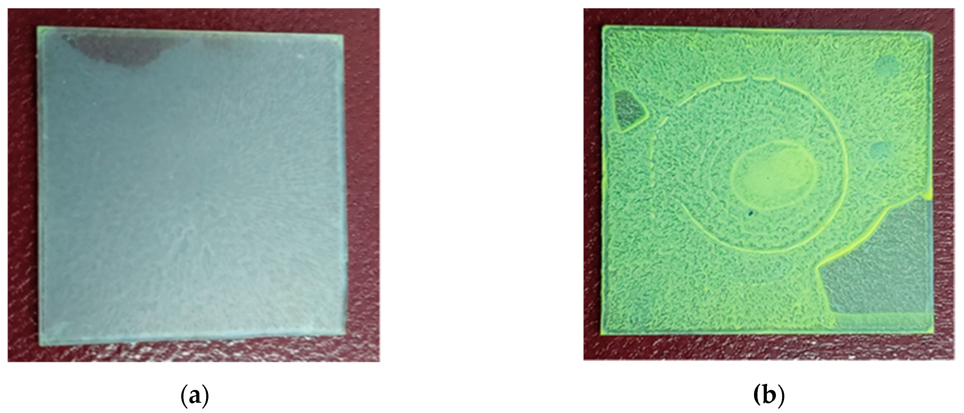 Coatings 10 00255 g001 Coatings 10 00255 g001