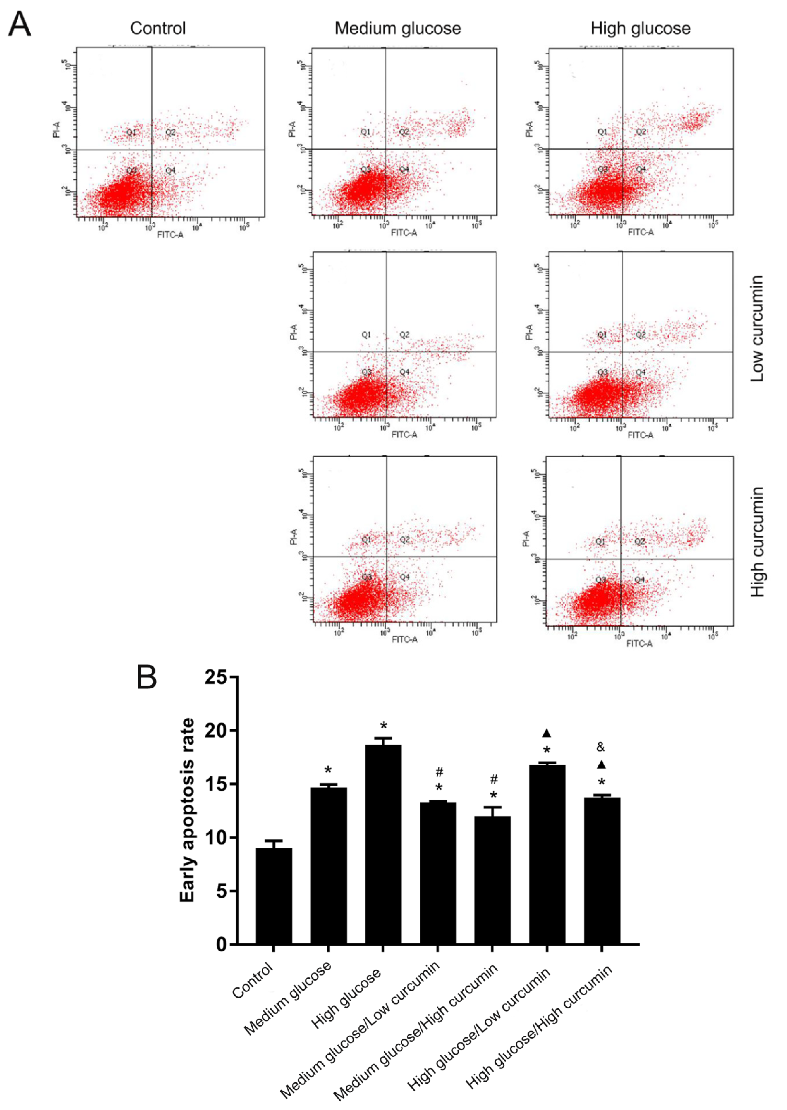 Coatings 10 00258 g002