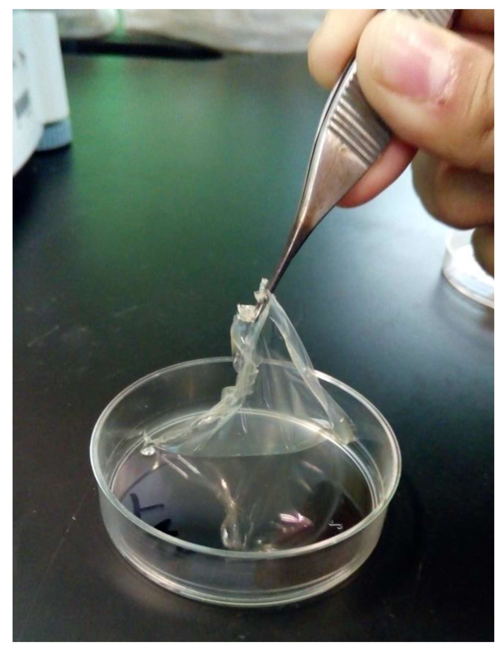 Coatings 10 00259 g006 Coatings 10 00259 g006