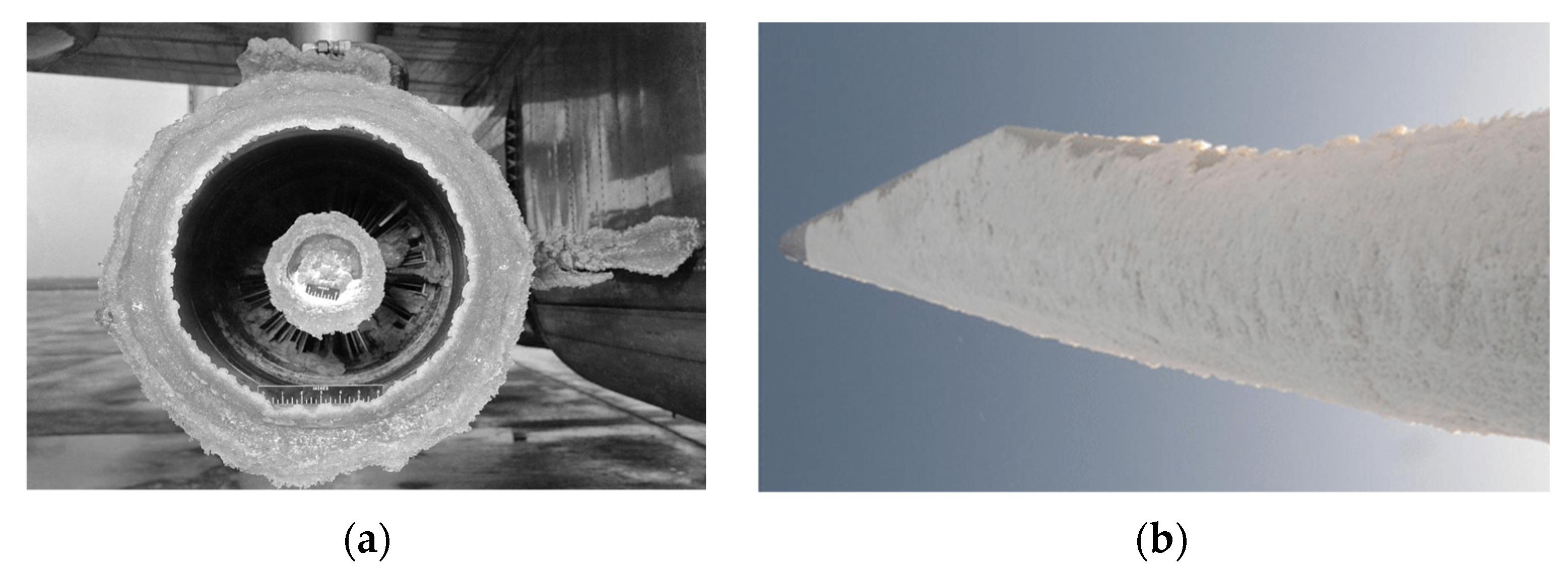 Coatings 10 00262 g001