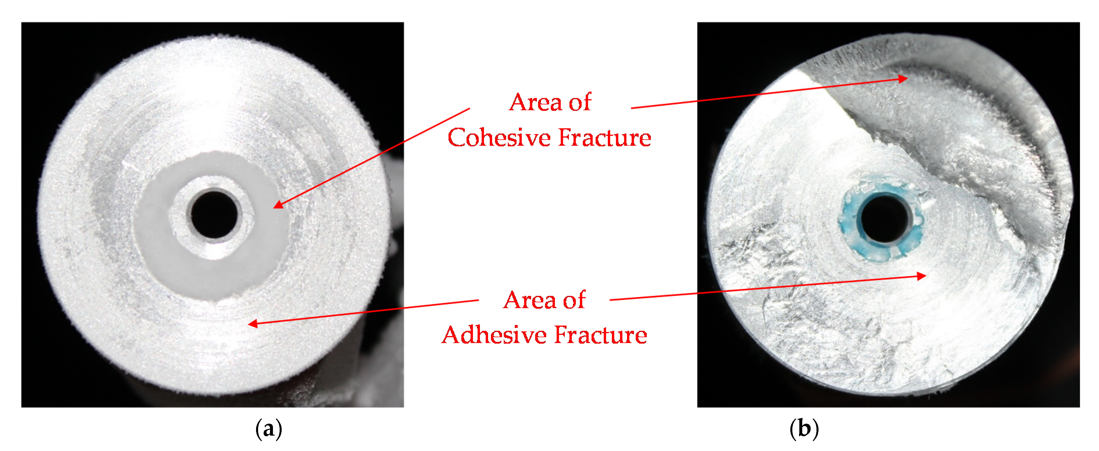 Coatings 10 00262 g005