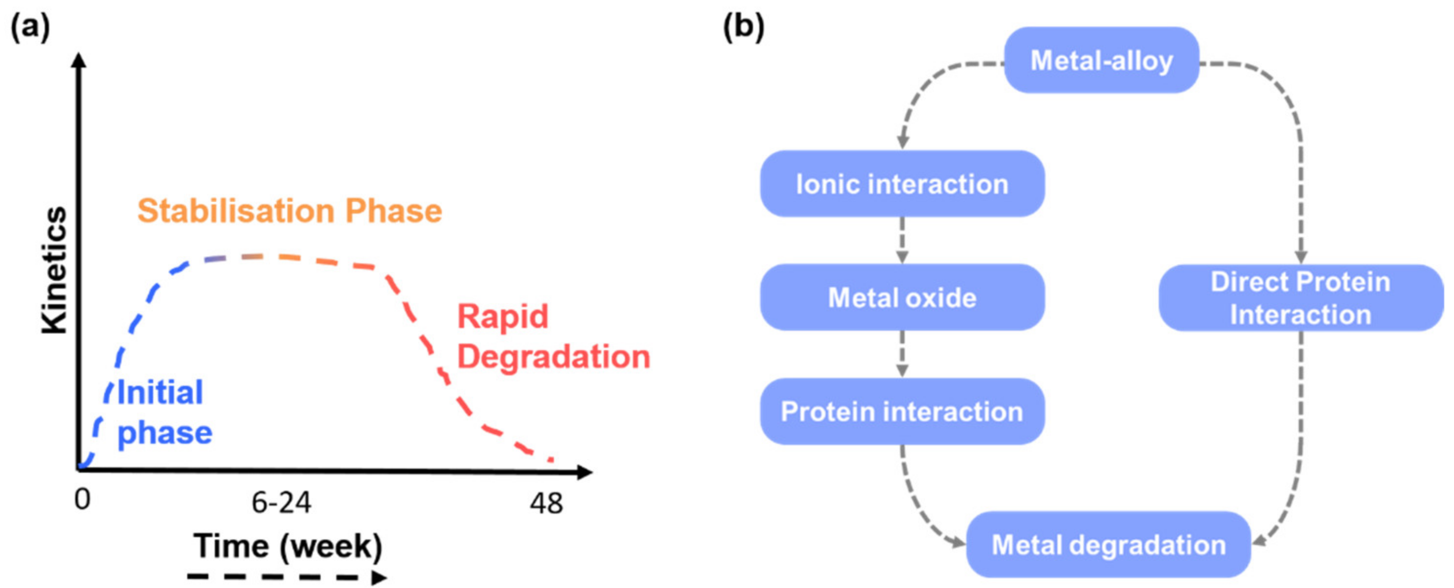 Coatings 10 00264 g001