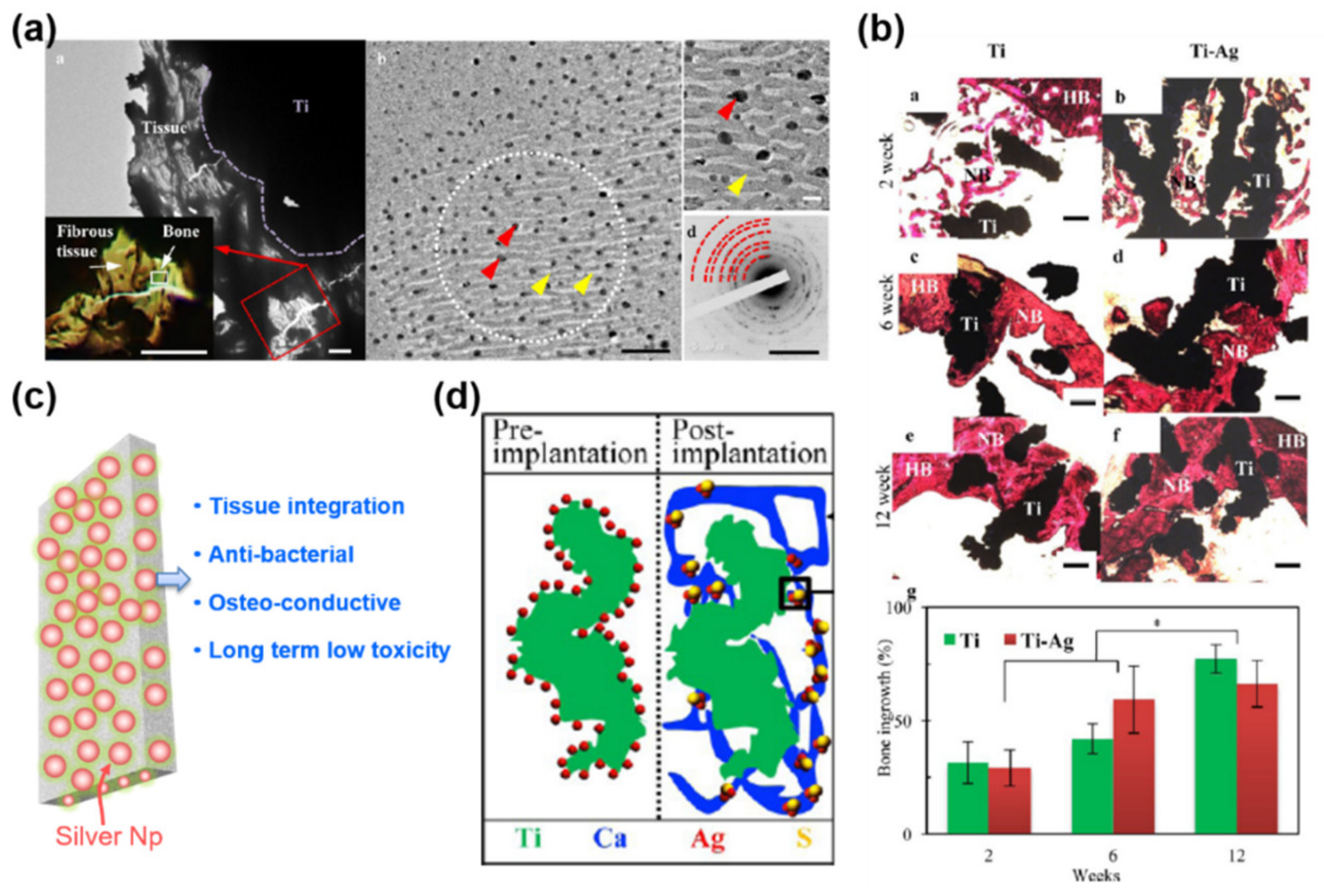 Coatings 10 00264 g003