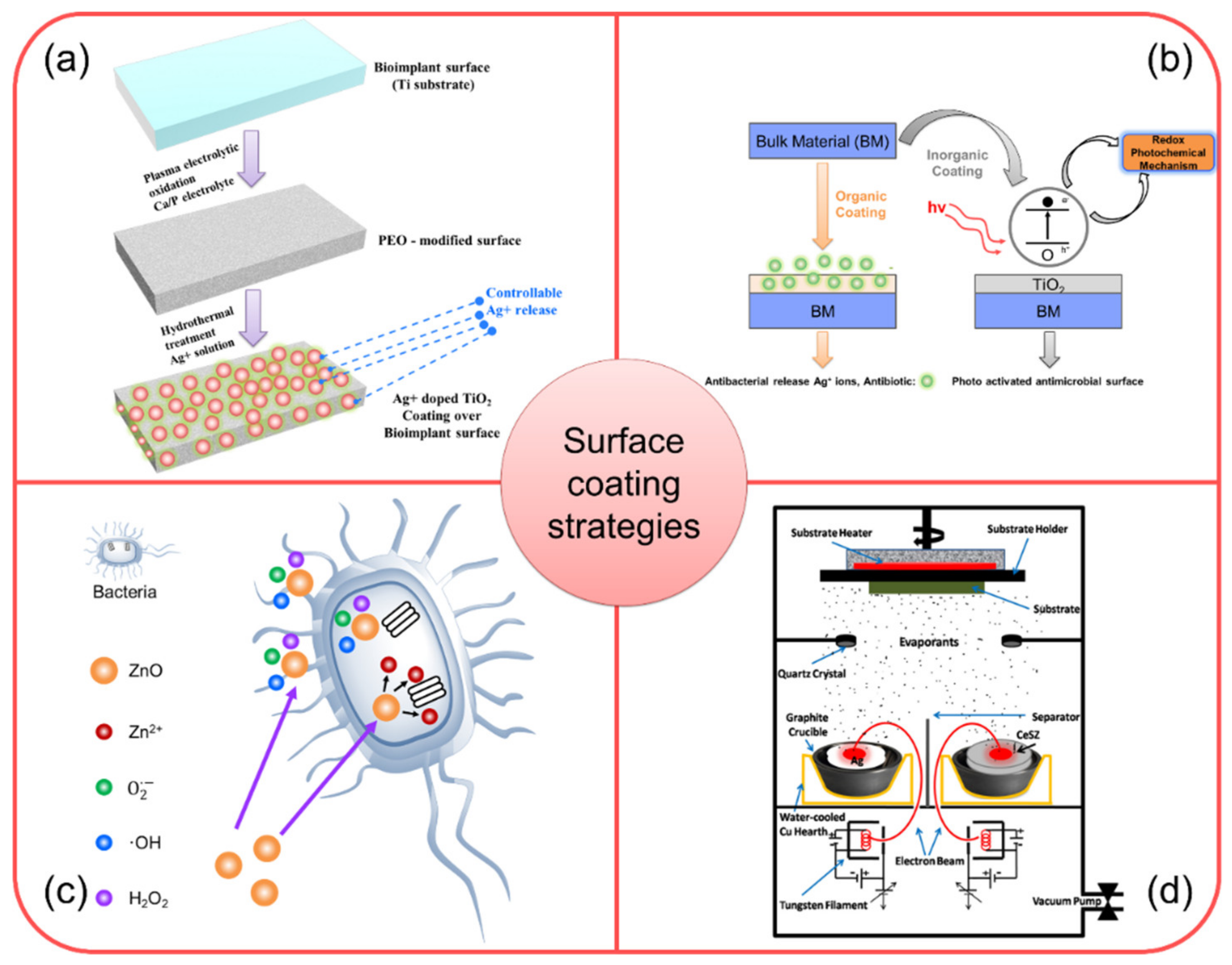Coatings 10 00264 g004