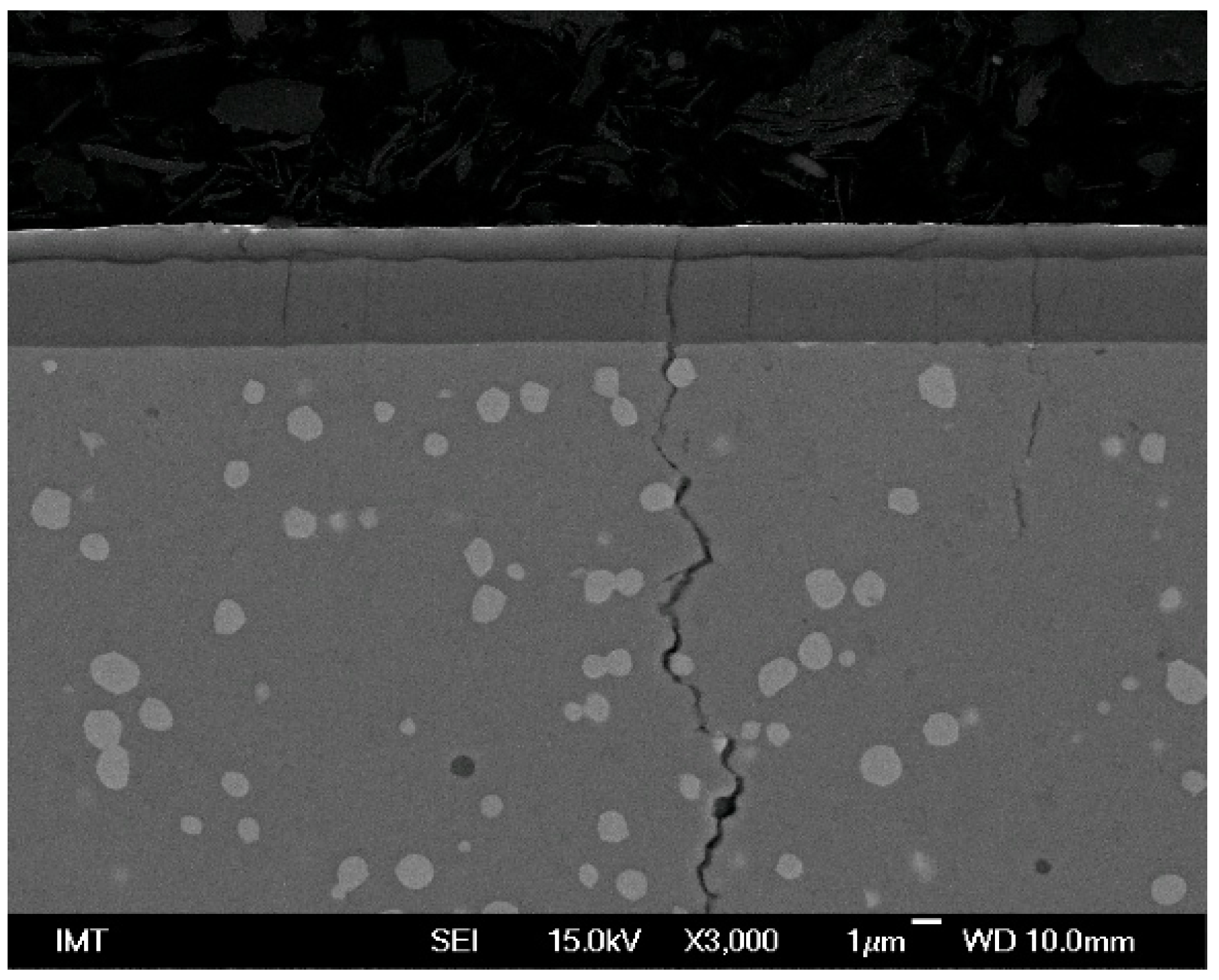 Coatings 10 00265 g012