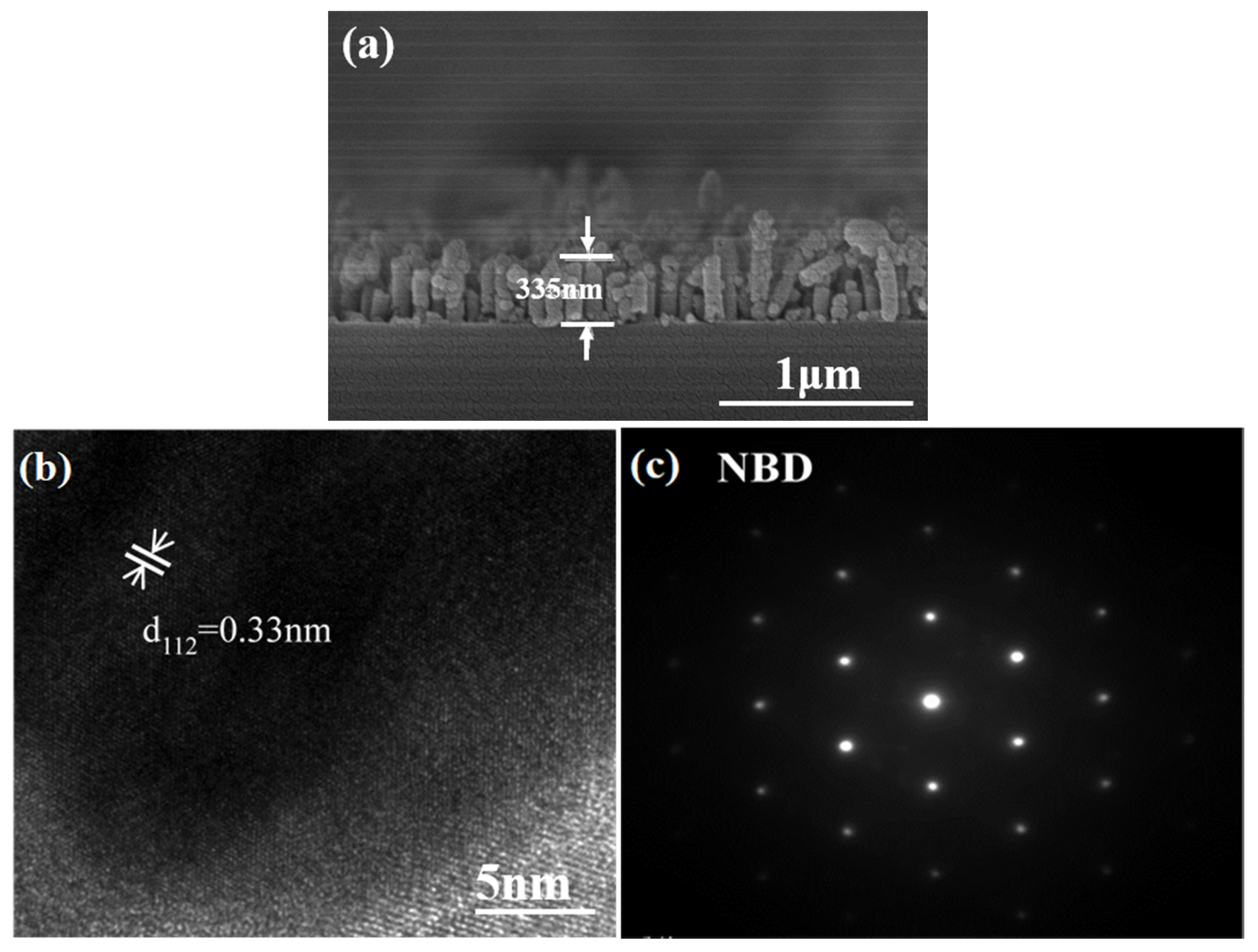 Coatings 10 00266 g005
