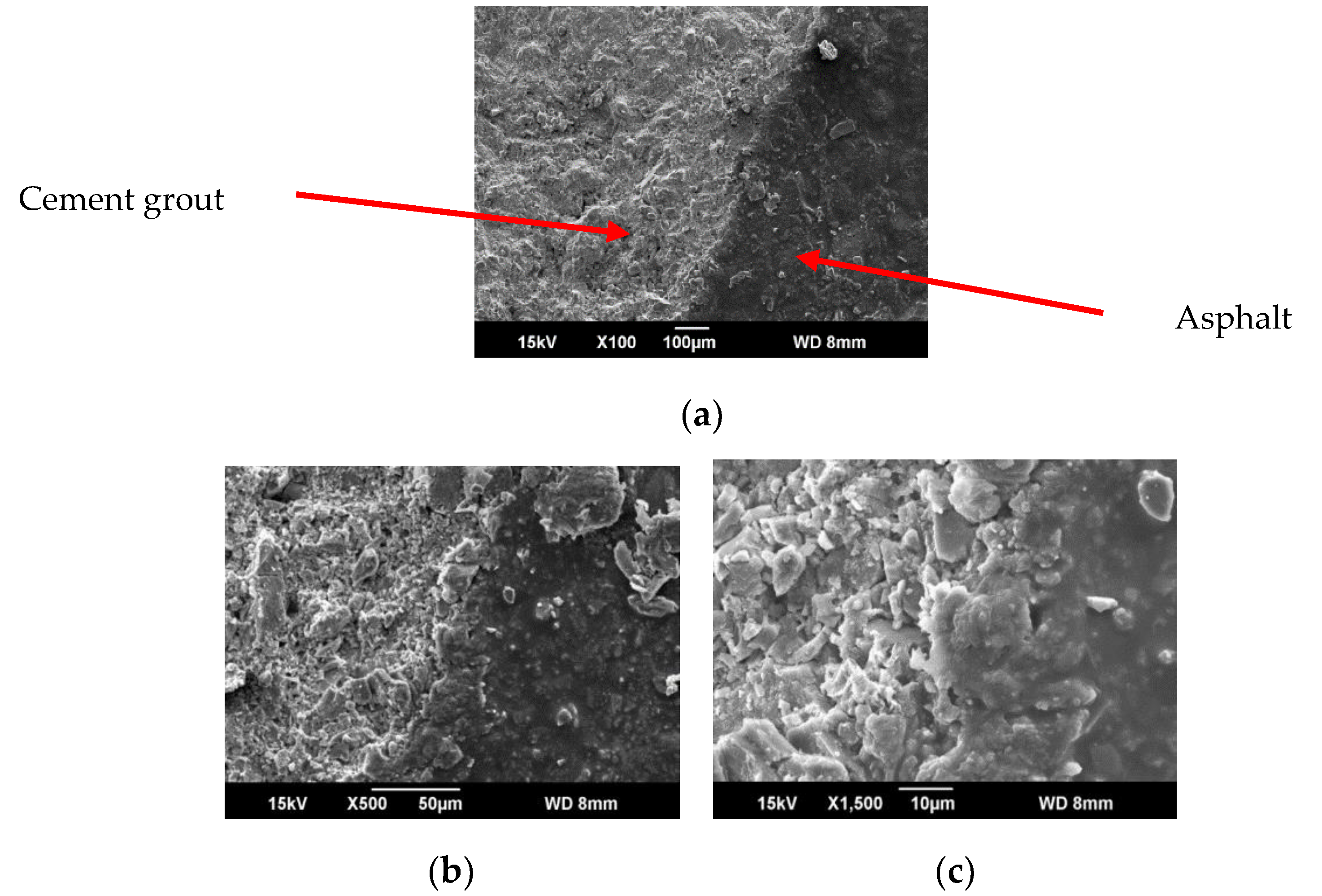 Coatings 10 00268 g005