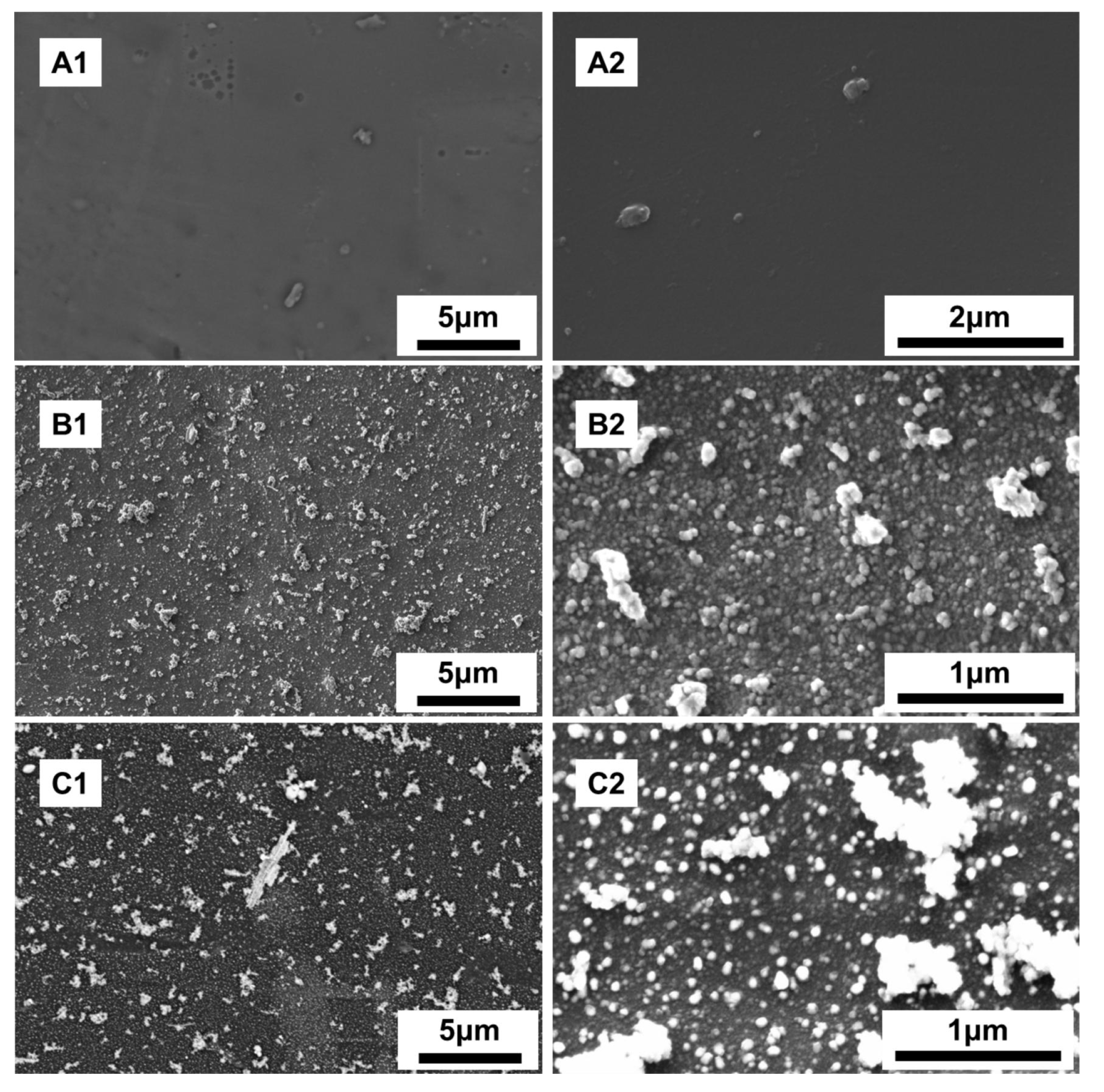 Coatings 10 00271 g004