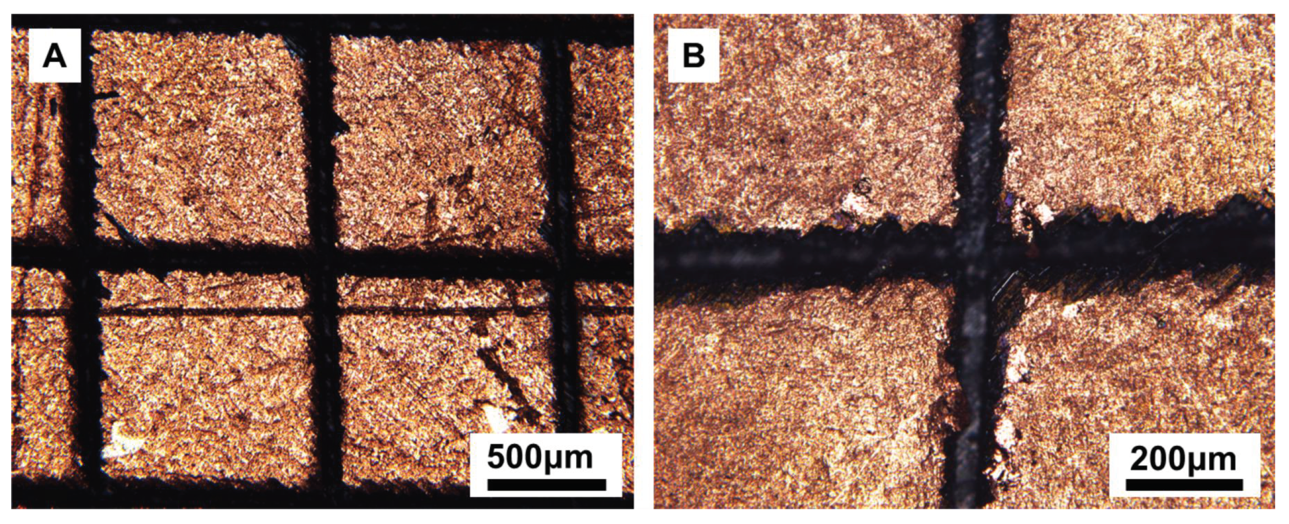 Coatings 10 00271 g010
