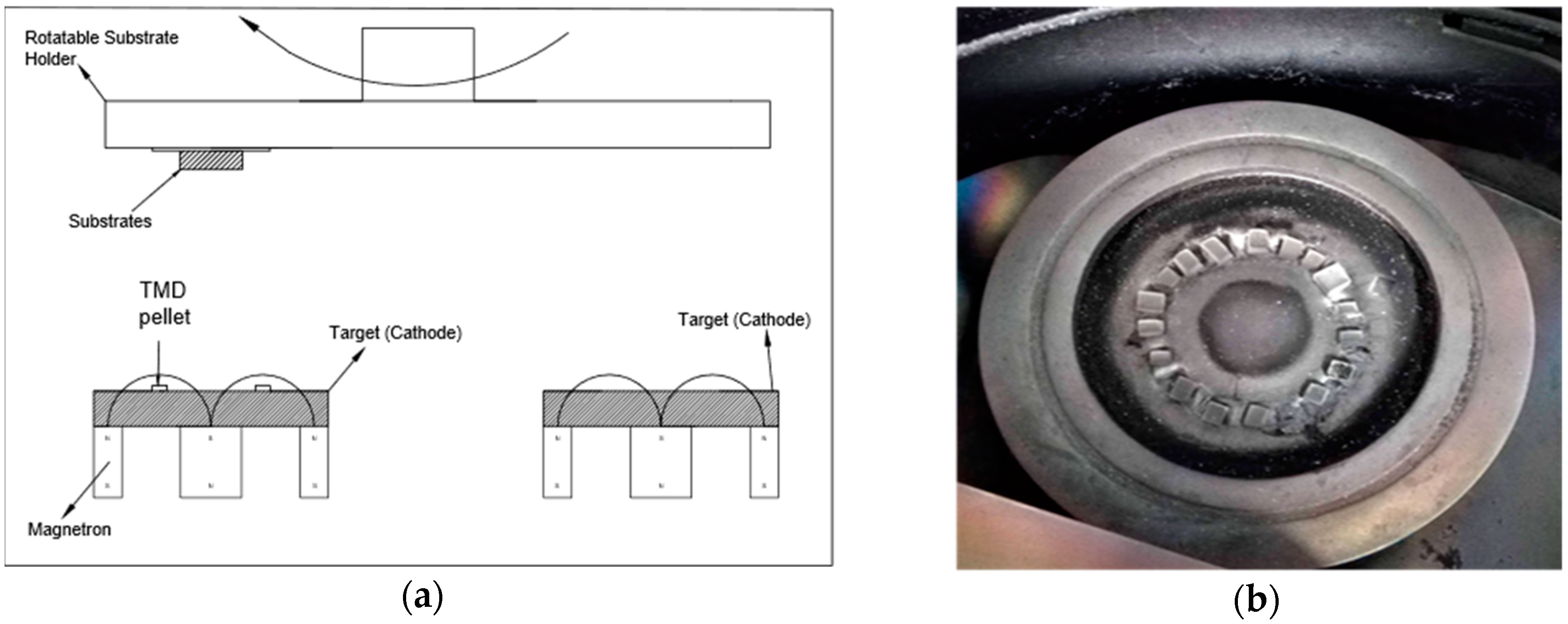 Coatings 10 00272 g001
