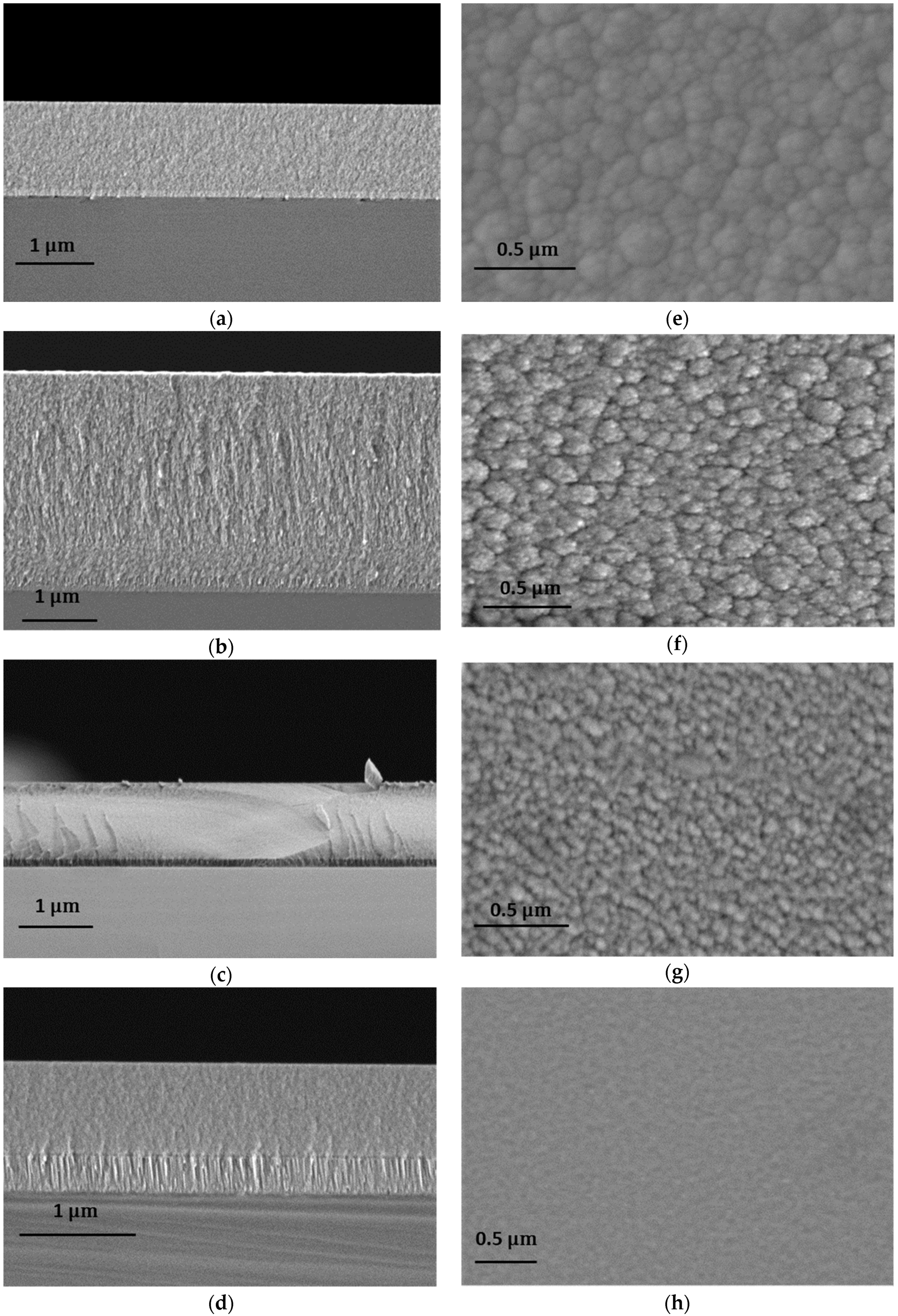 Coatings 10 00272 g002