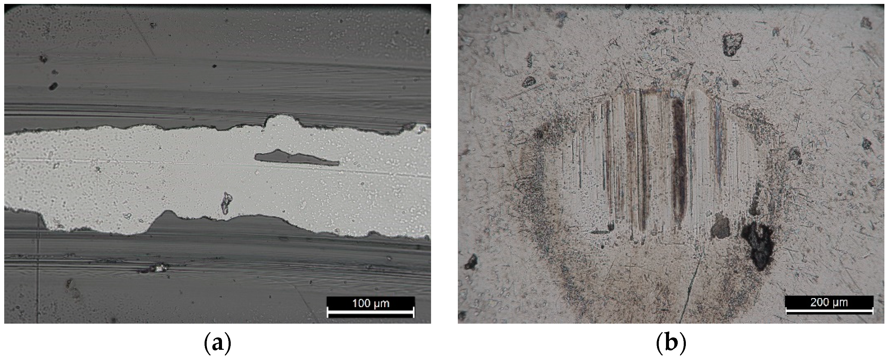Coatings 10 00272 g011a