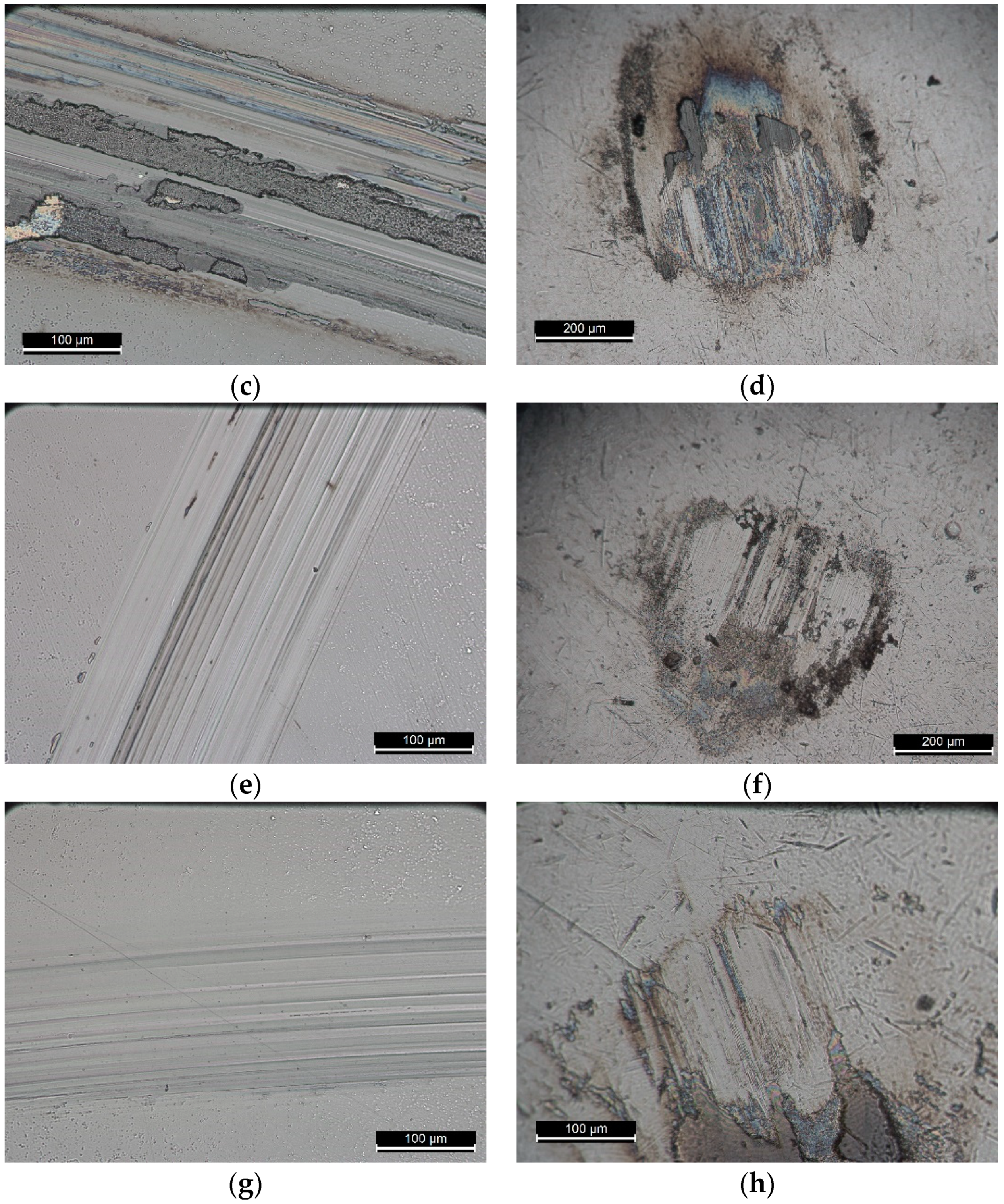 Coatings 10 00272 g011b